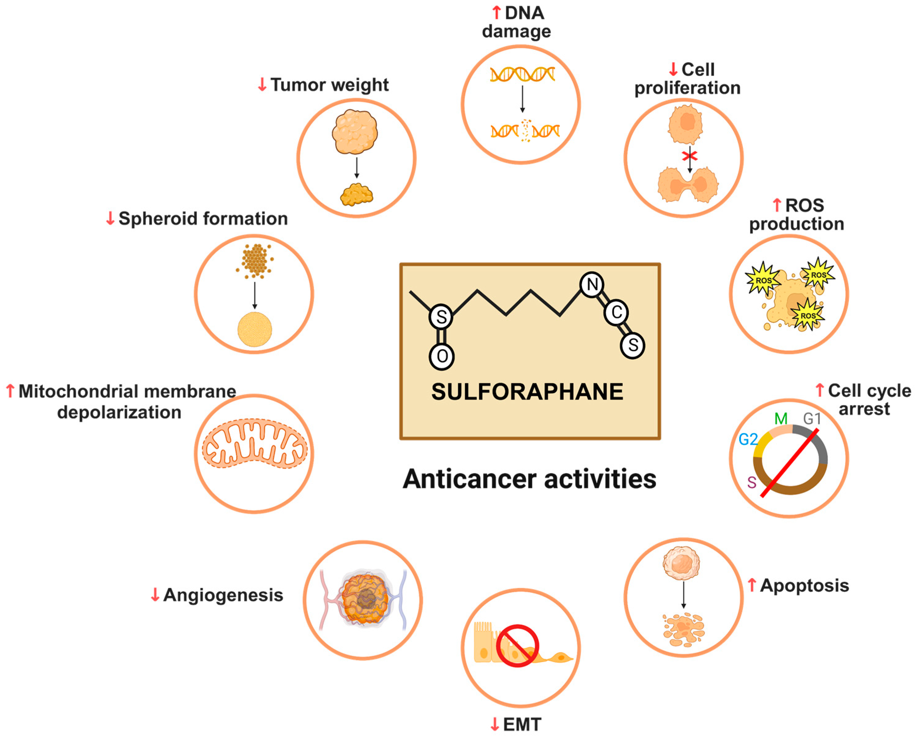 Cancers 16 00244 g003 Cancers 16 00244 g003