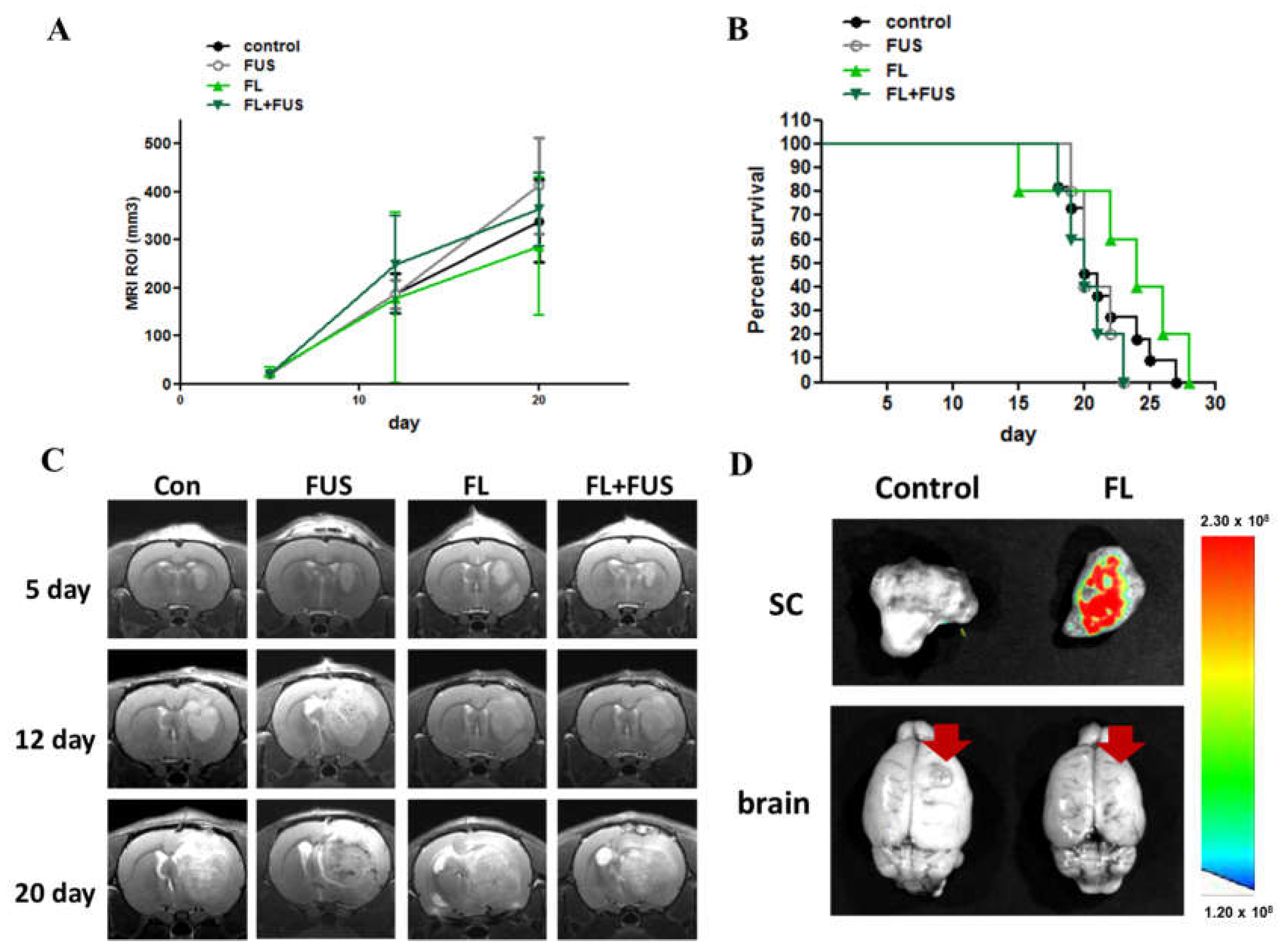 Cancers 16 00253 g005
