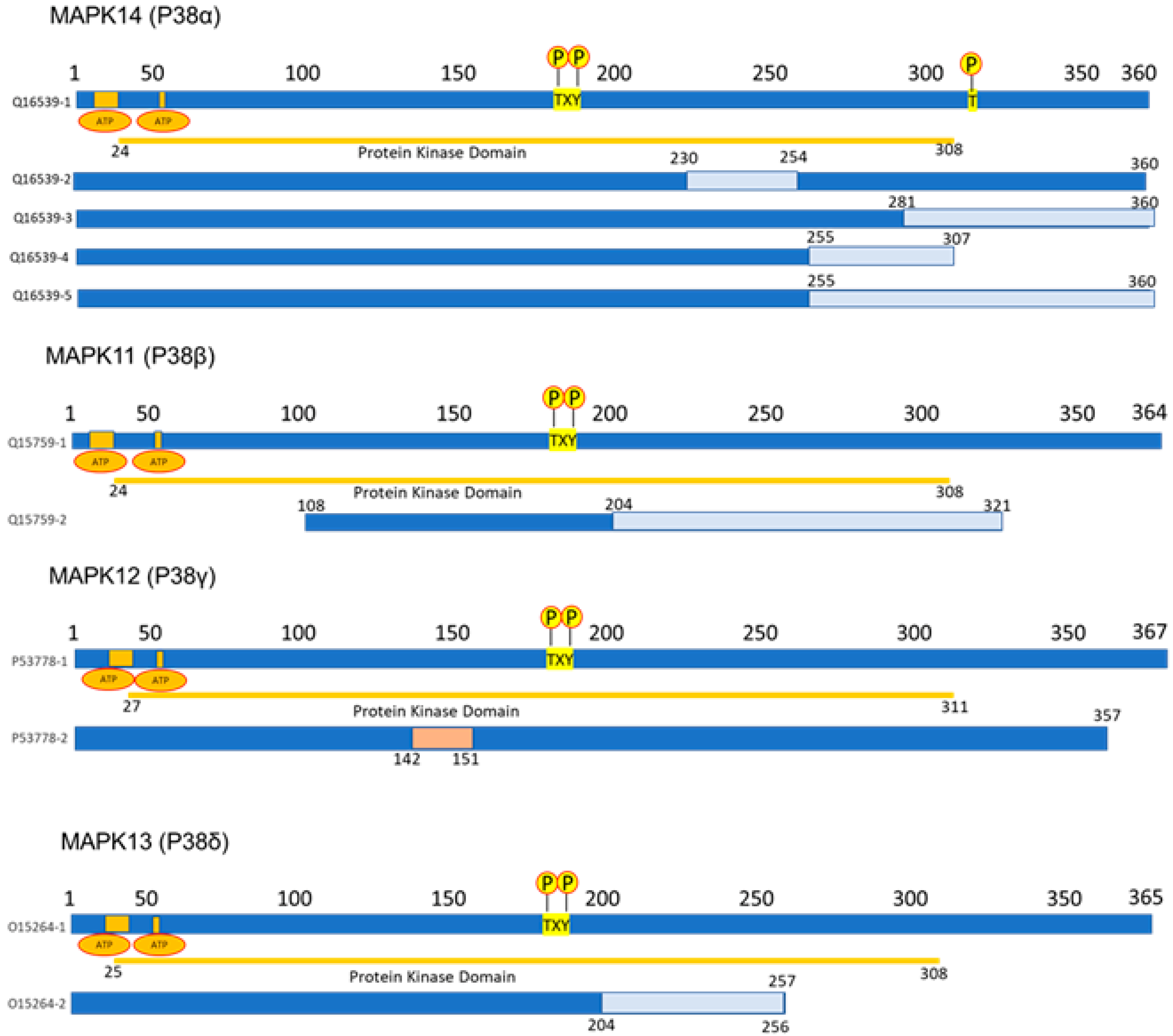 Cancers 16 00256 g001 Cancers 16 00256 g001