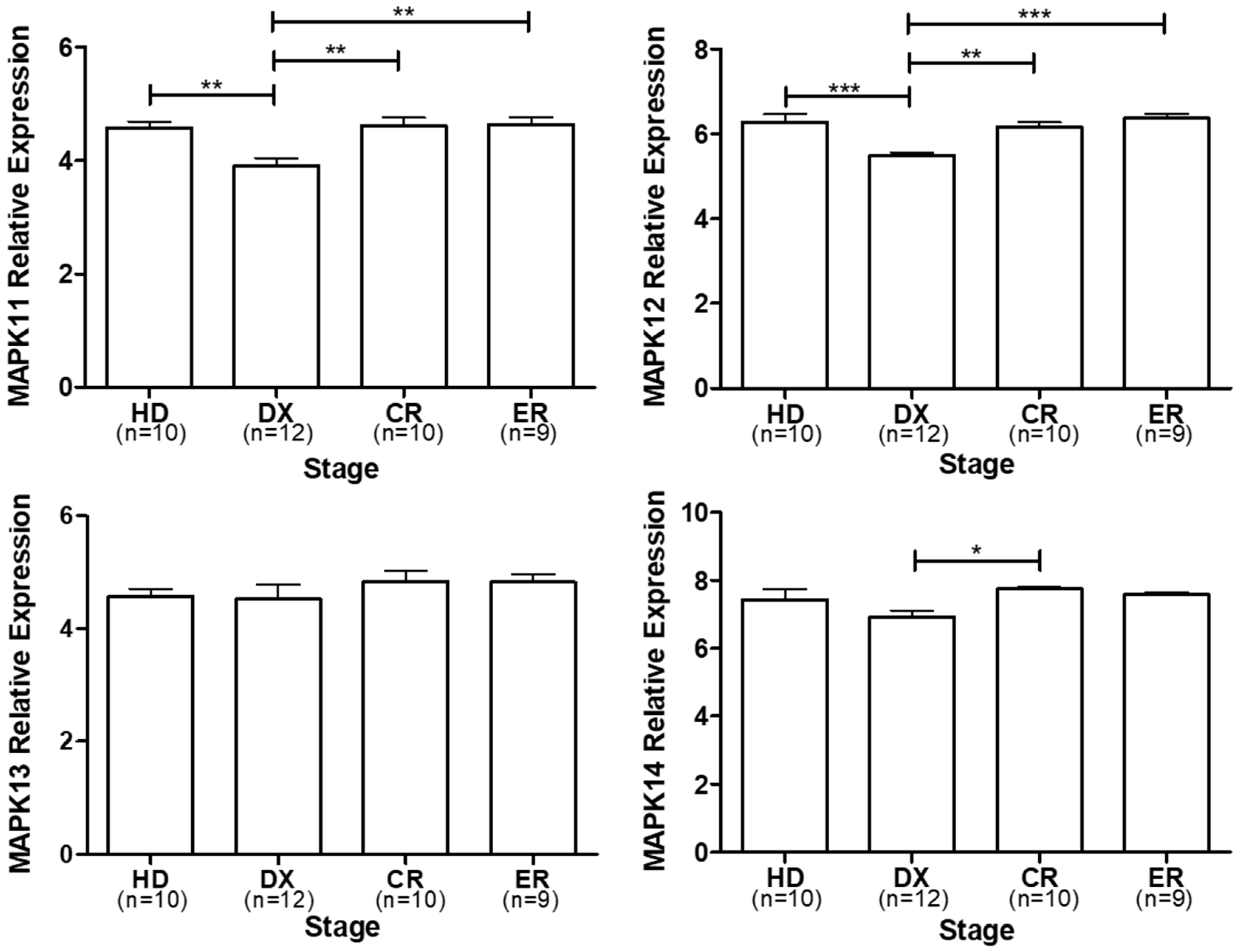 Cancers 16 00256 g002 Cancers 16 00256 g002