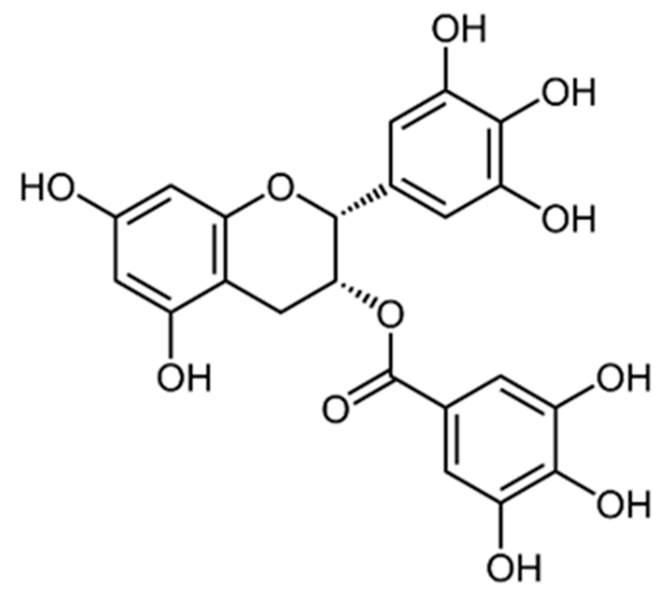 Cancers 16 00260 g006