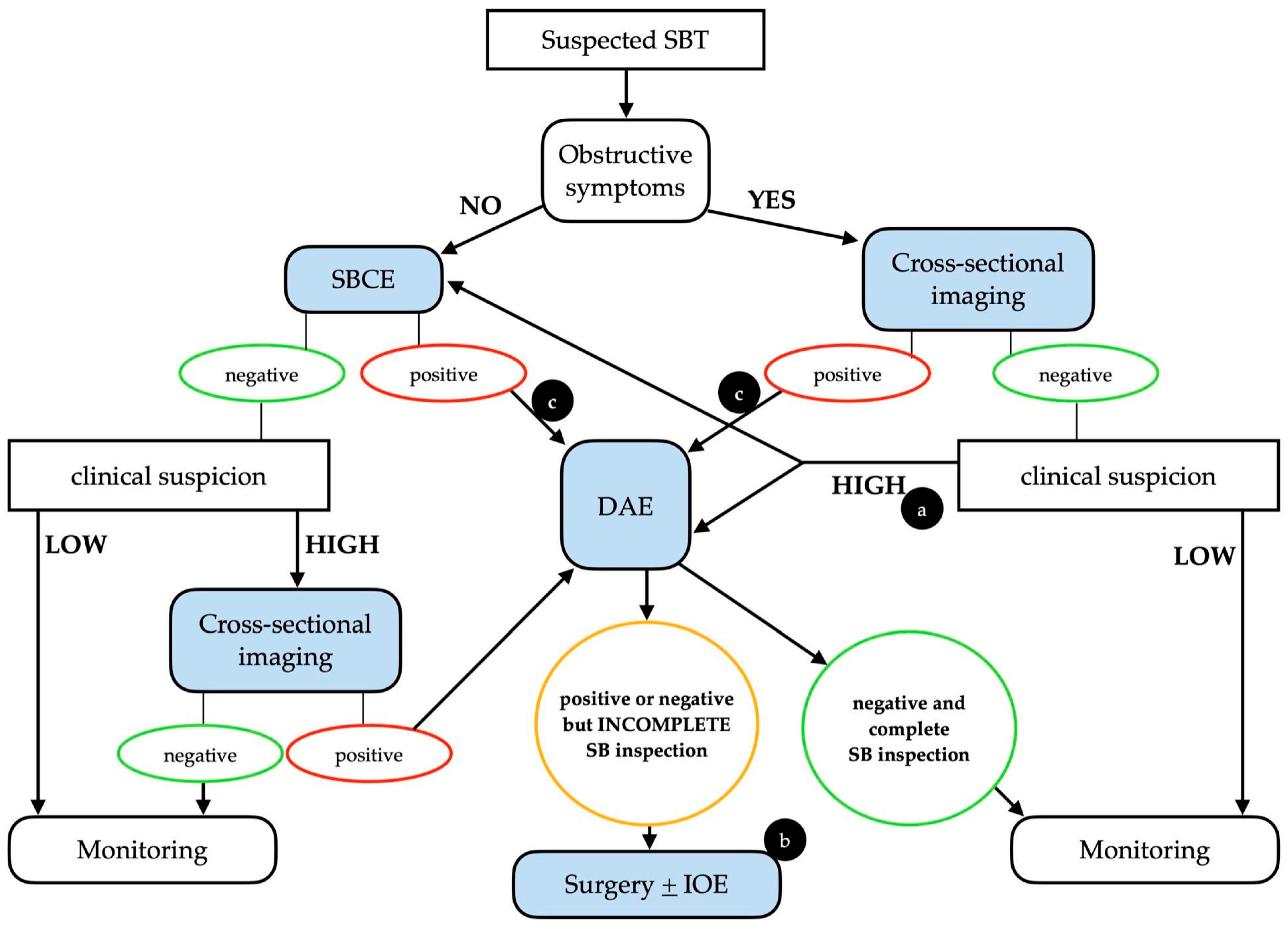Cancers 16 00262 g001 Cancers 16 00262 g001