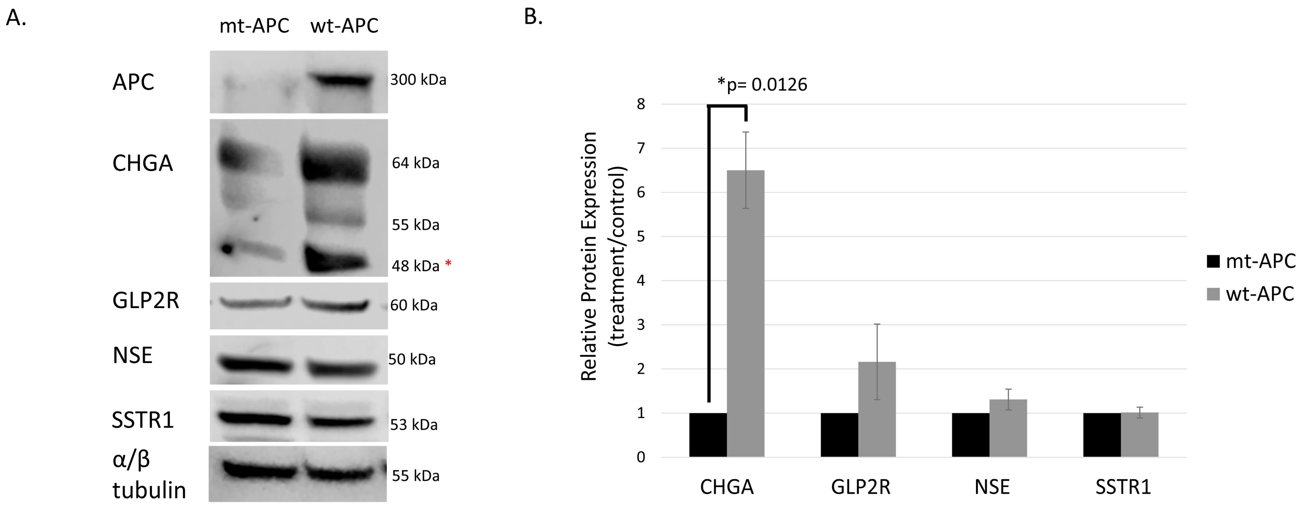 Cancers 16 00264 g003 Cancers 16 00264 g003
