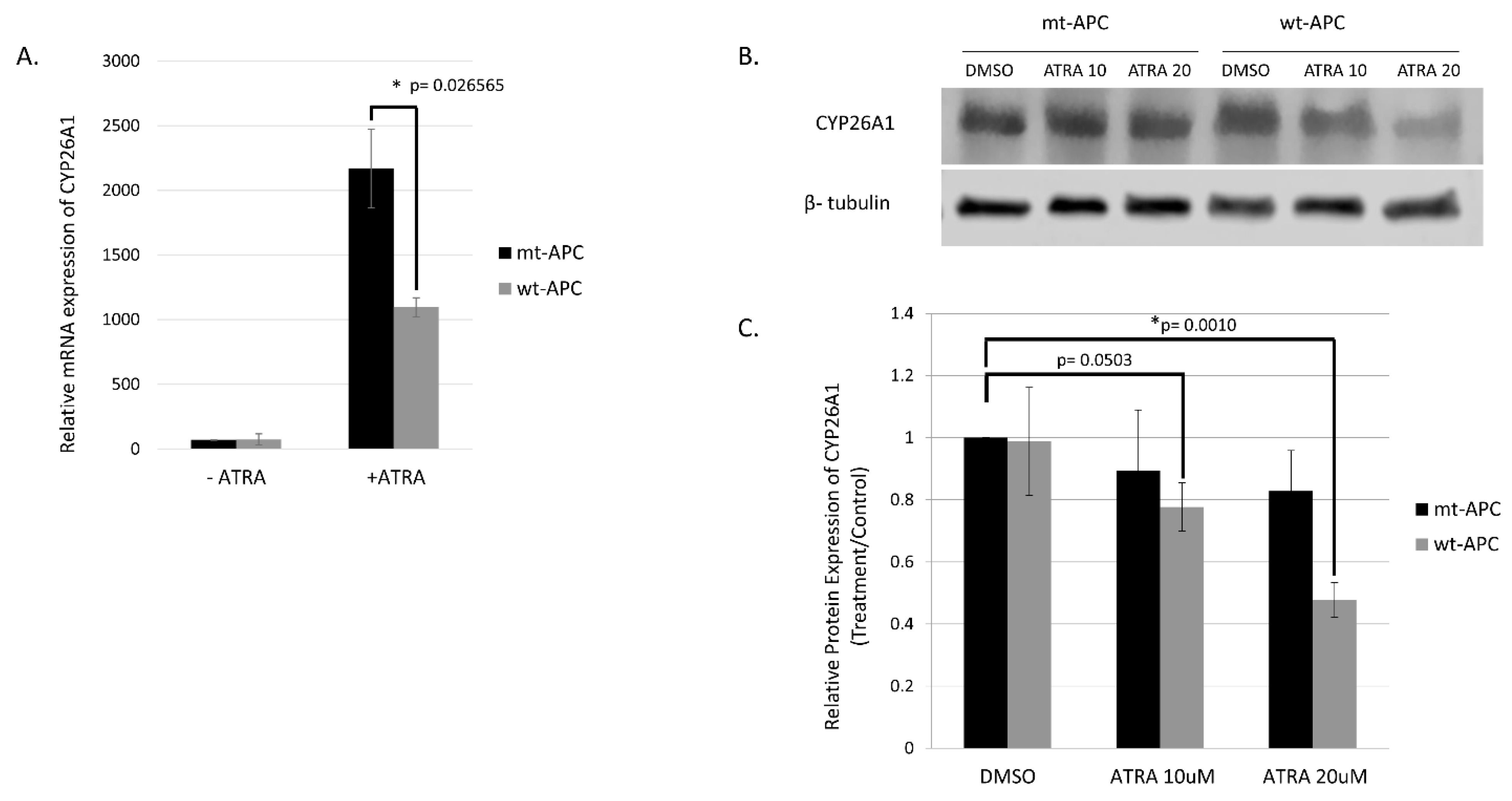 Cancers 16 00264 g005 Cancers 16 00264 g005