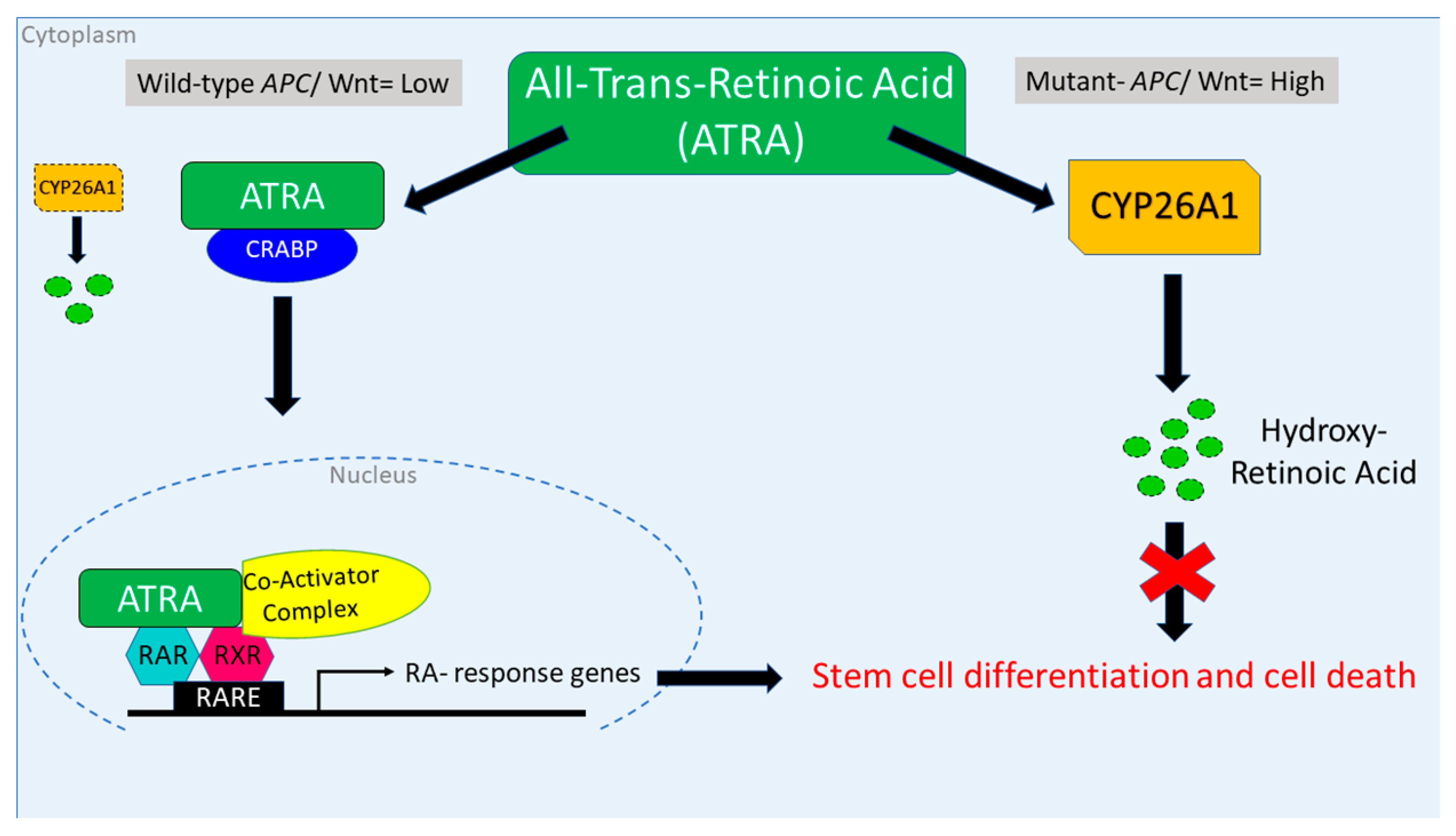 Cancers 16 00264 g008 Cancers 16 00264 g008