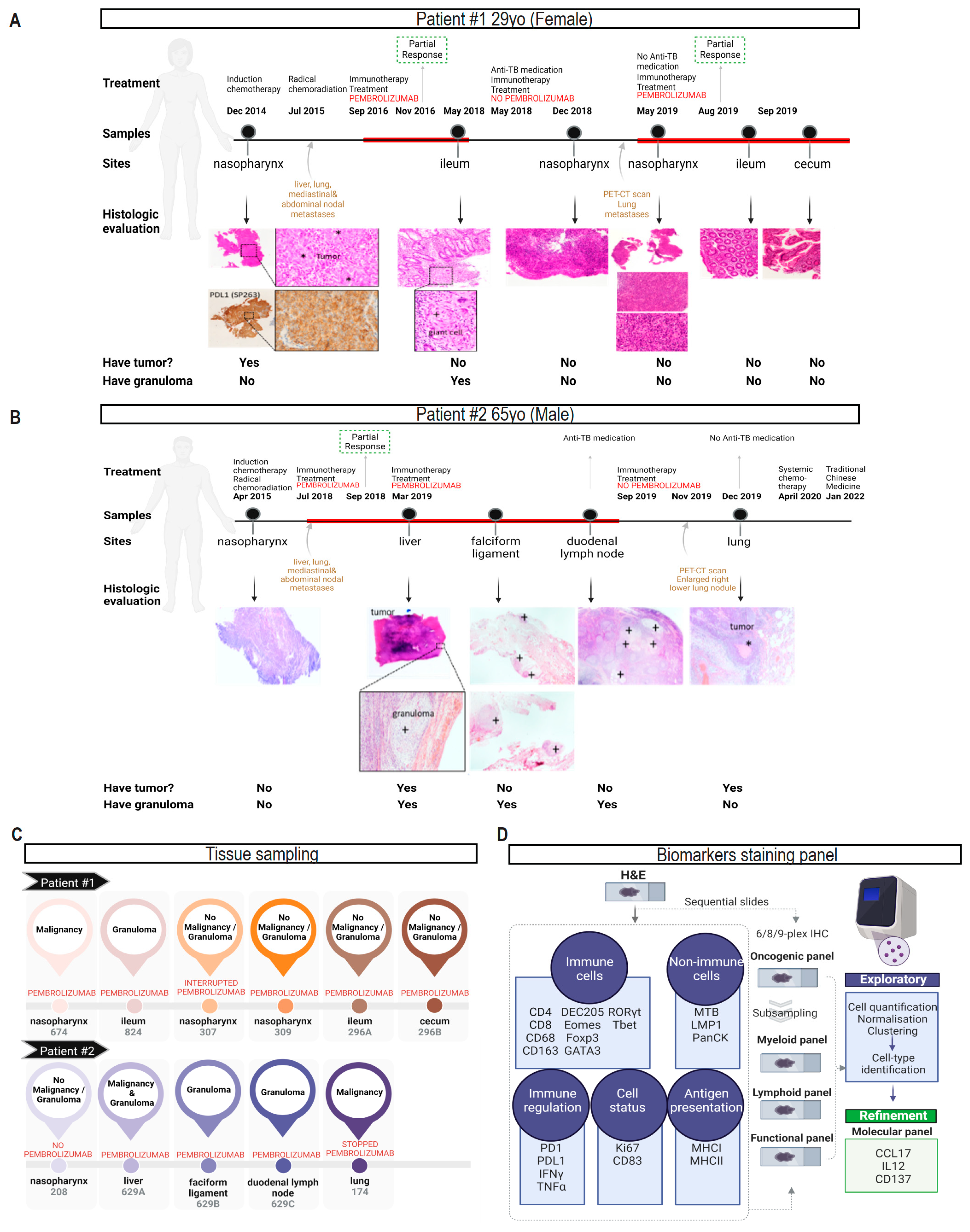 Cancers 16 00268 g001