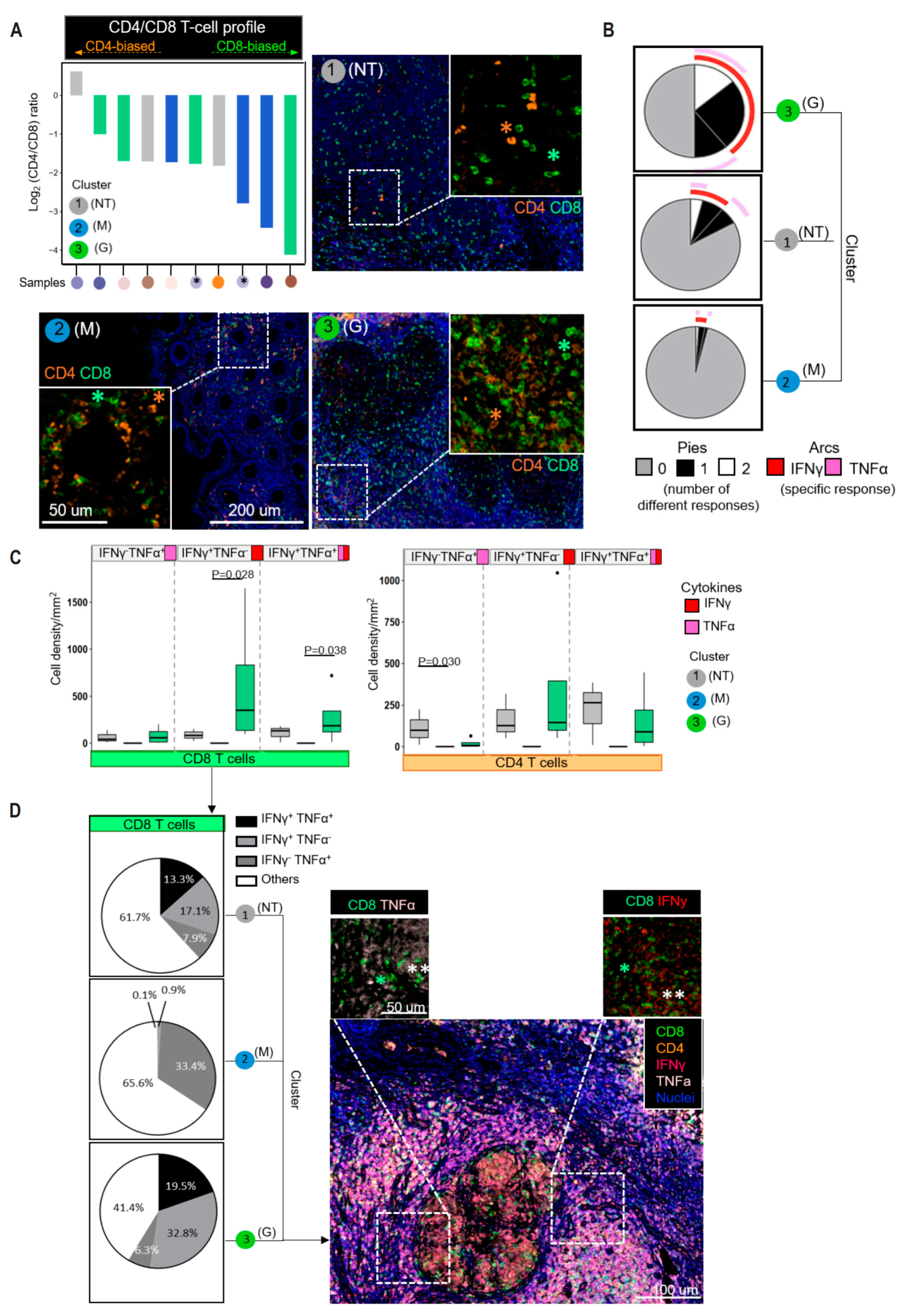 Cancers 16 00268 g003