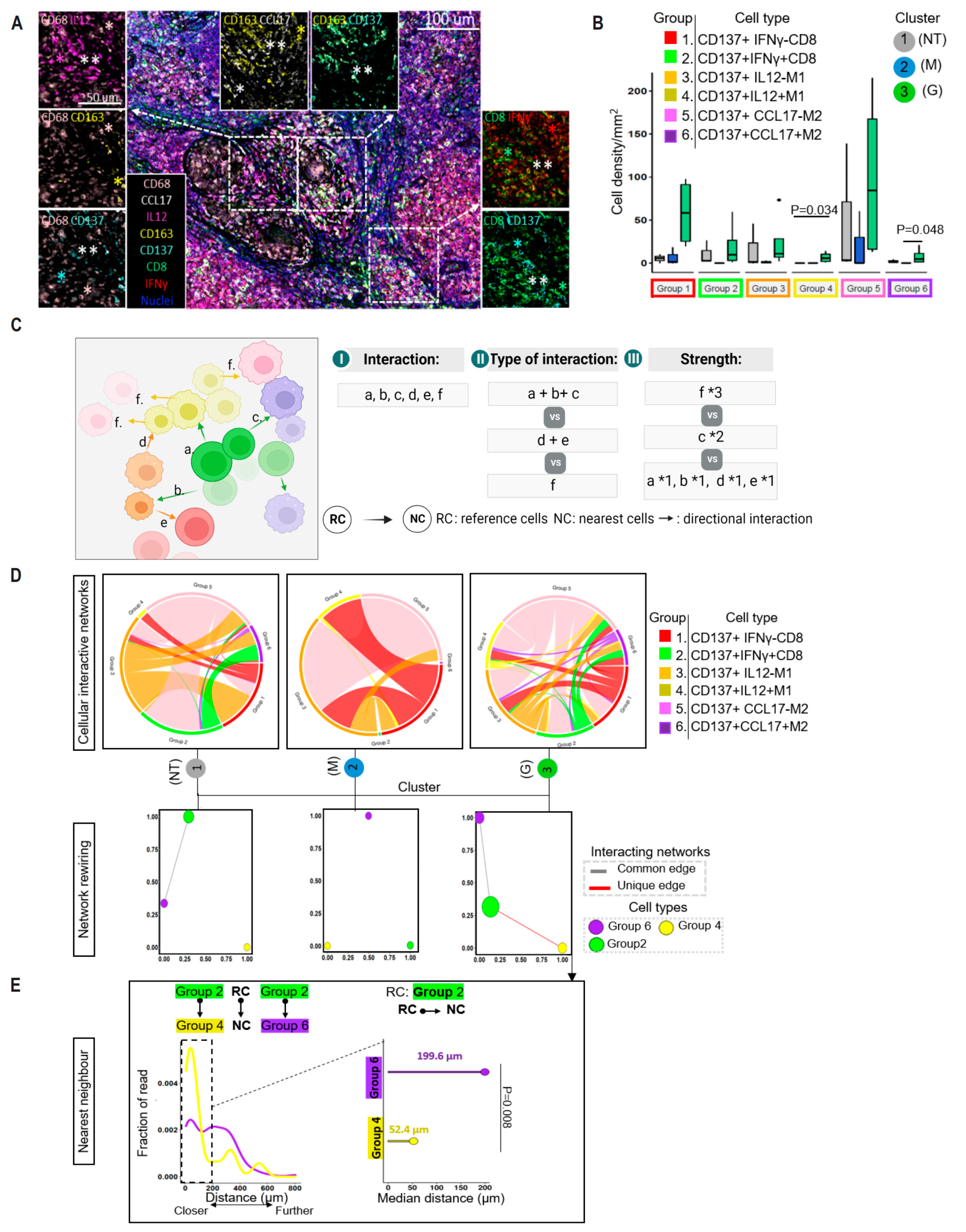 Cancers 16 00268 g005