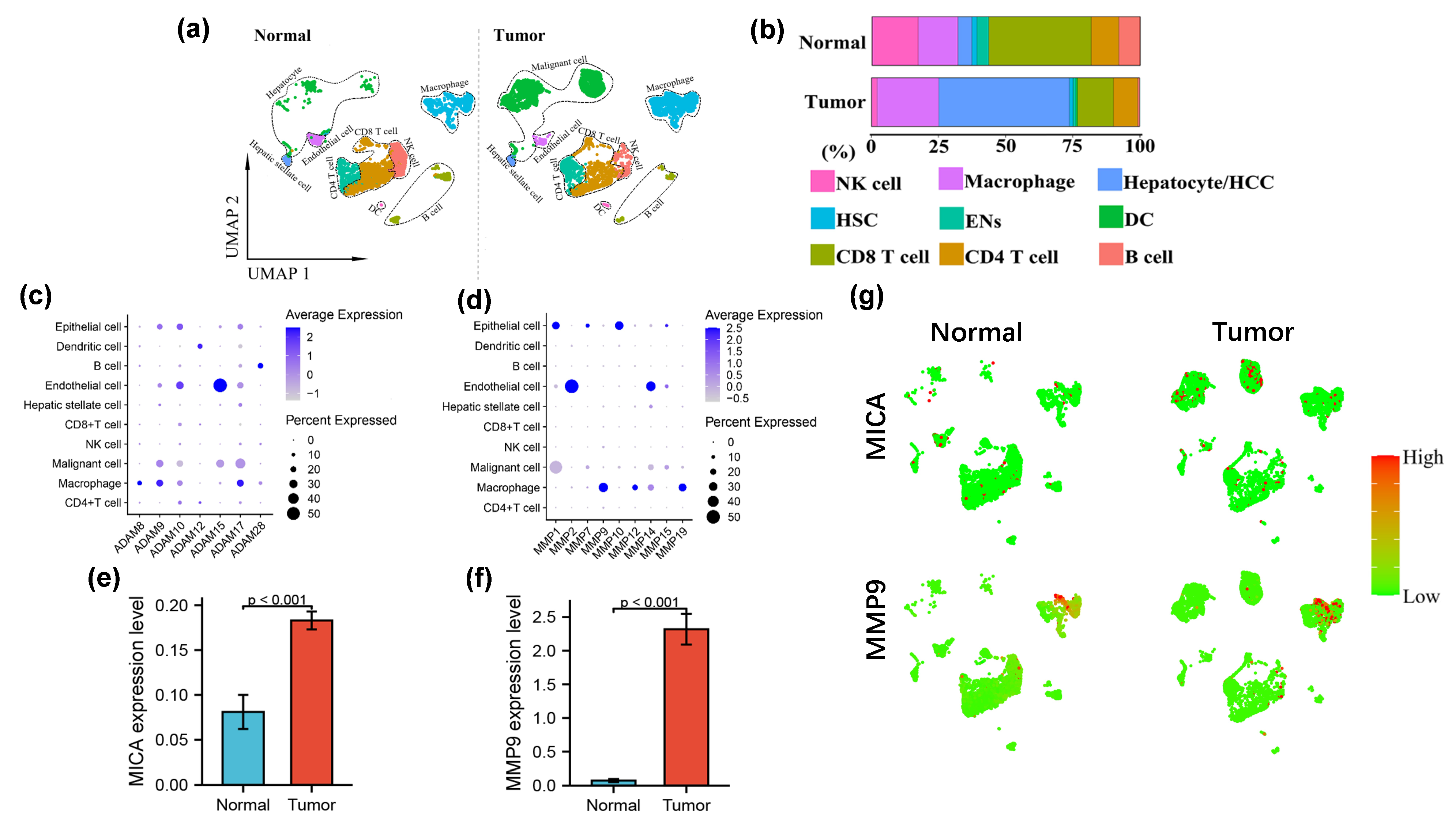 Cancers 16 00269 g001