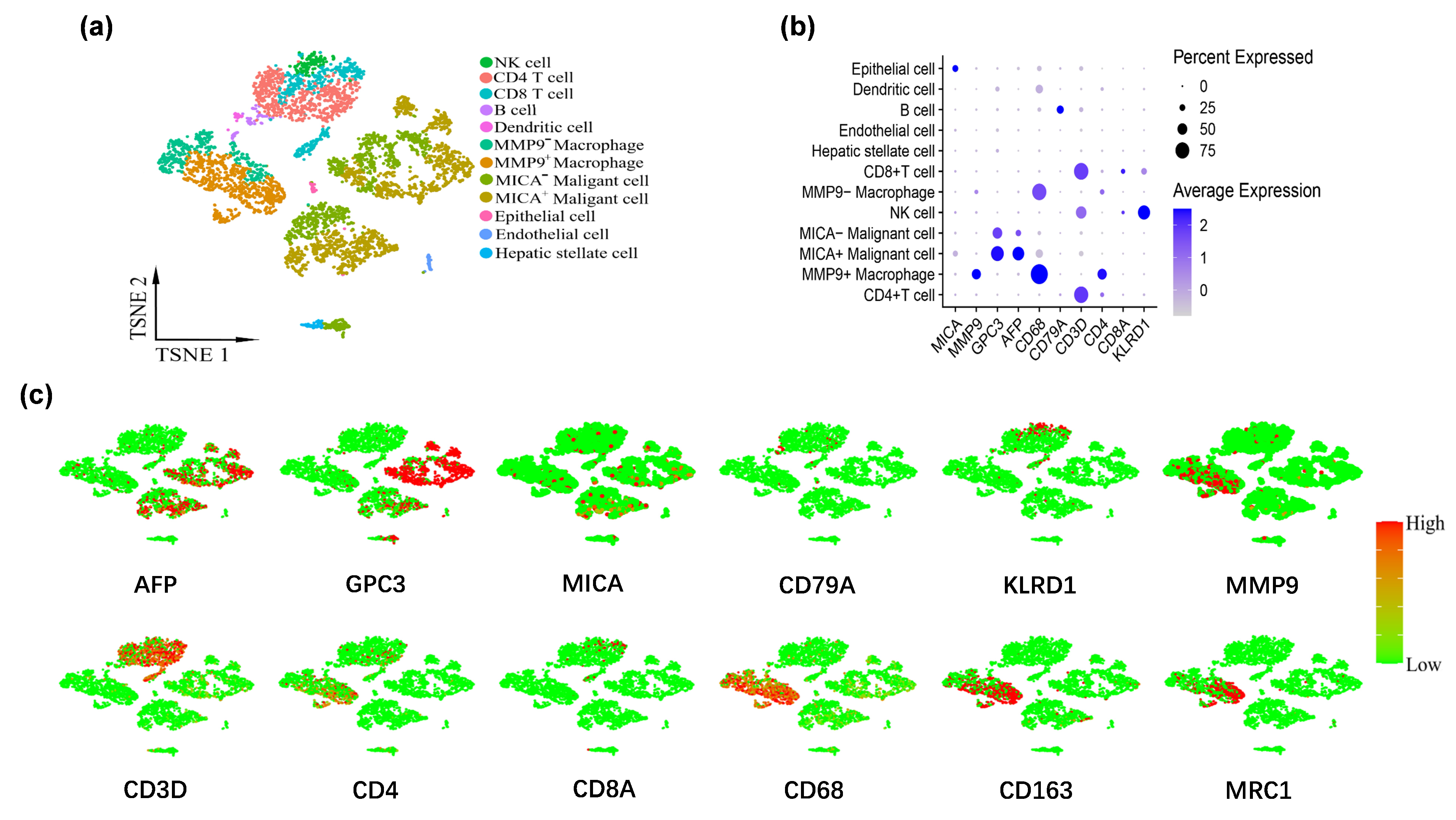Cancers 16 00269 g002