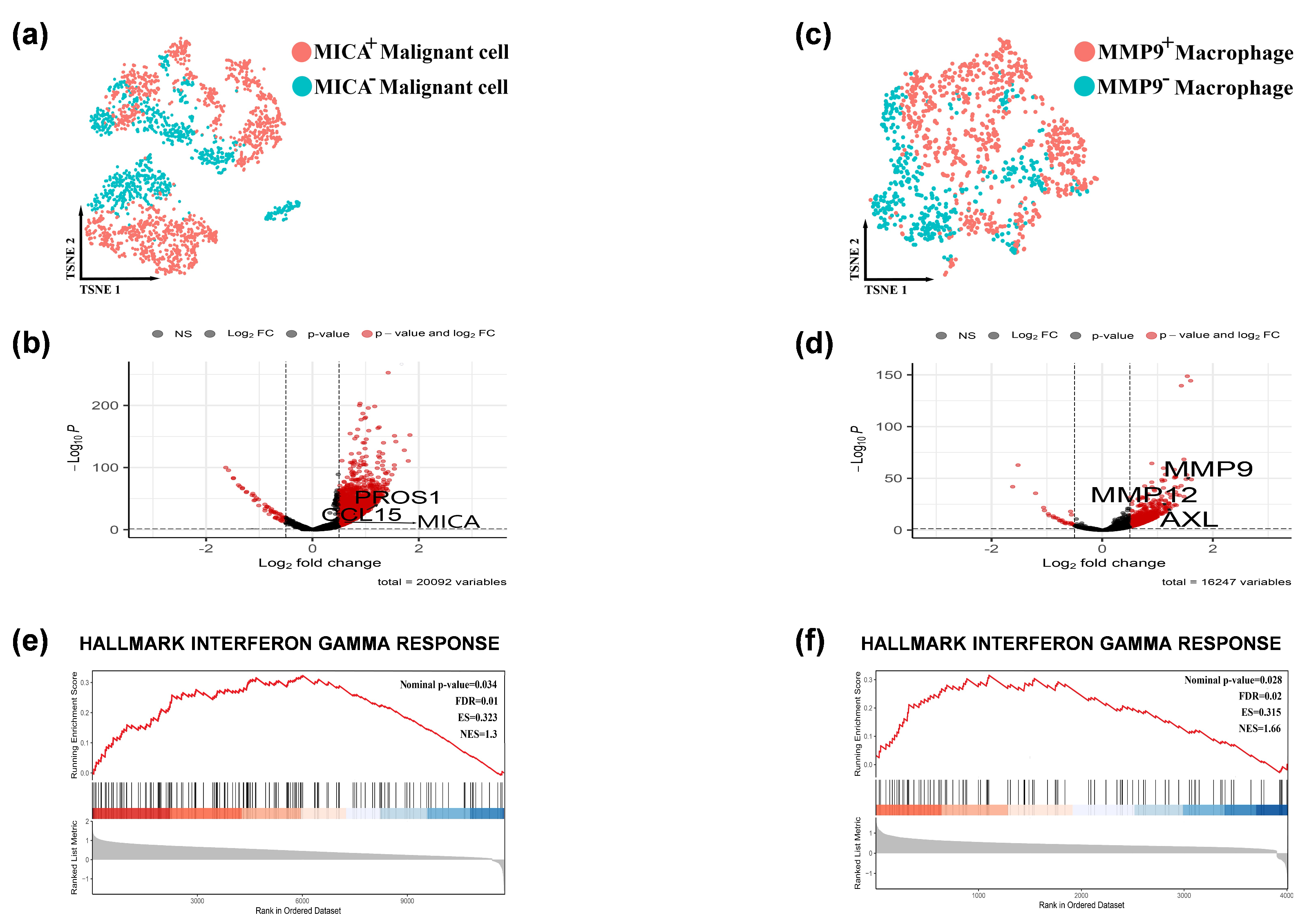 Cancers 16 00269 g003