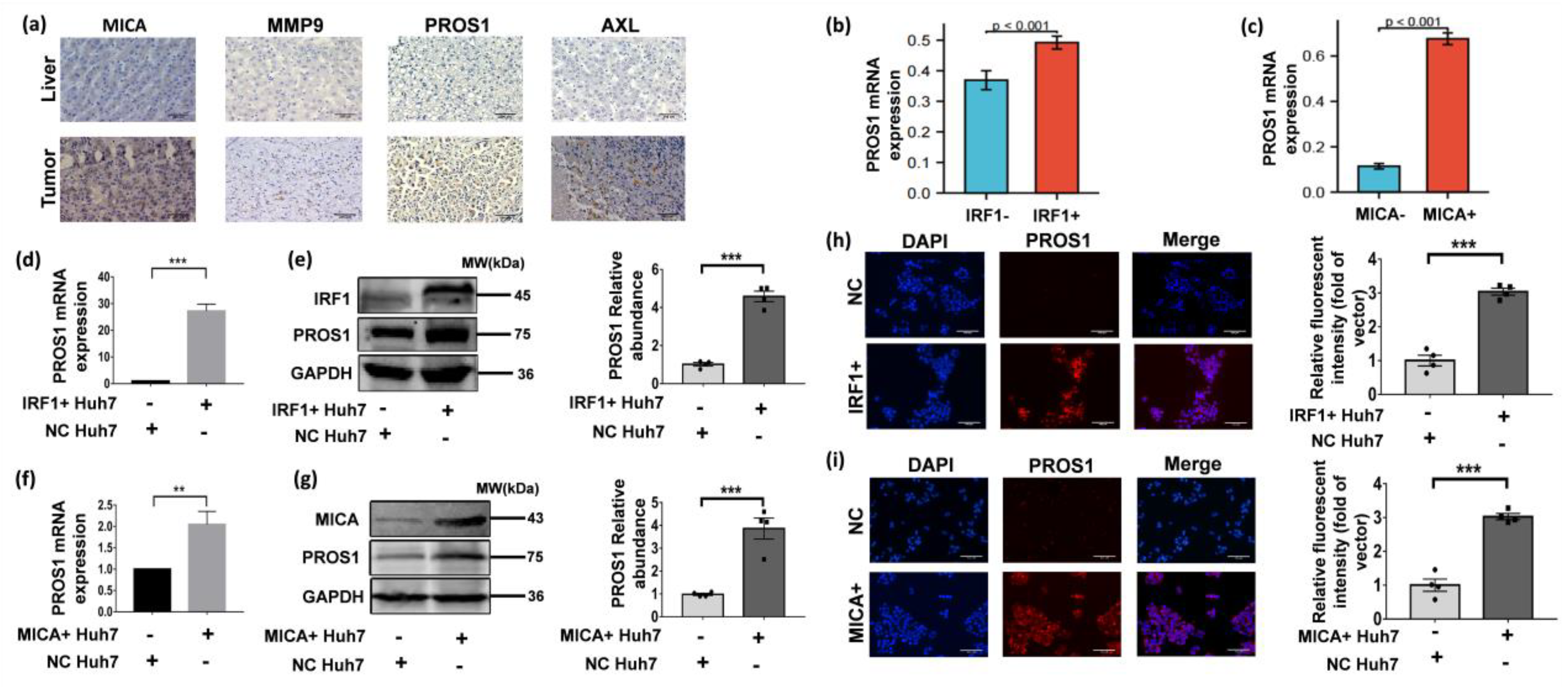 Cancers 16 00269 g006