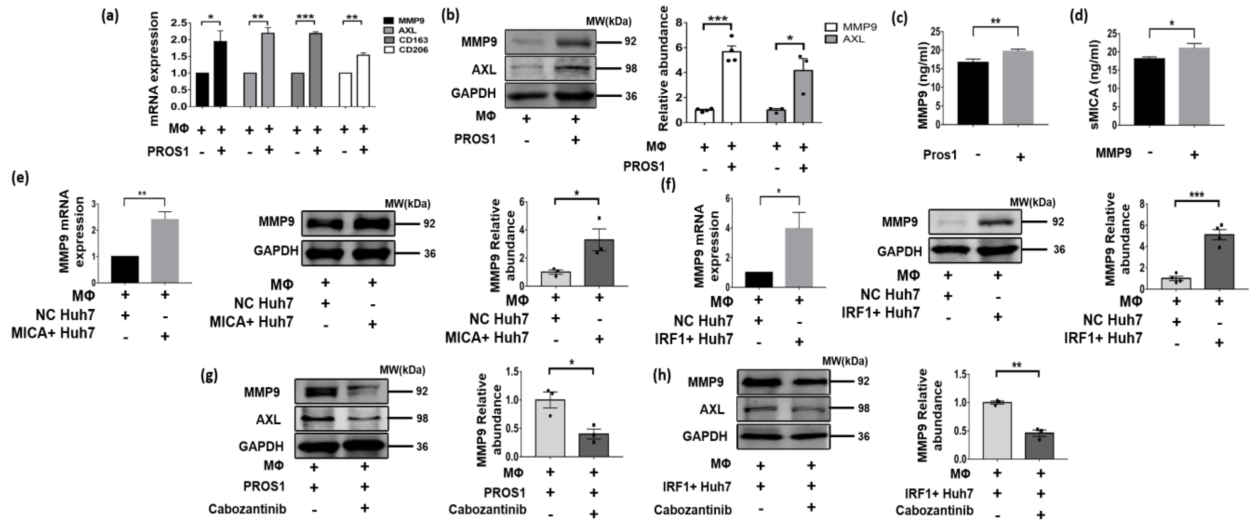 Cancers 16 00269 g007