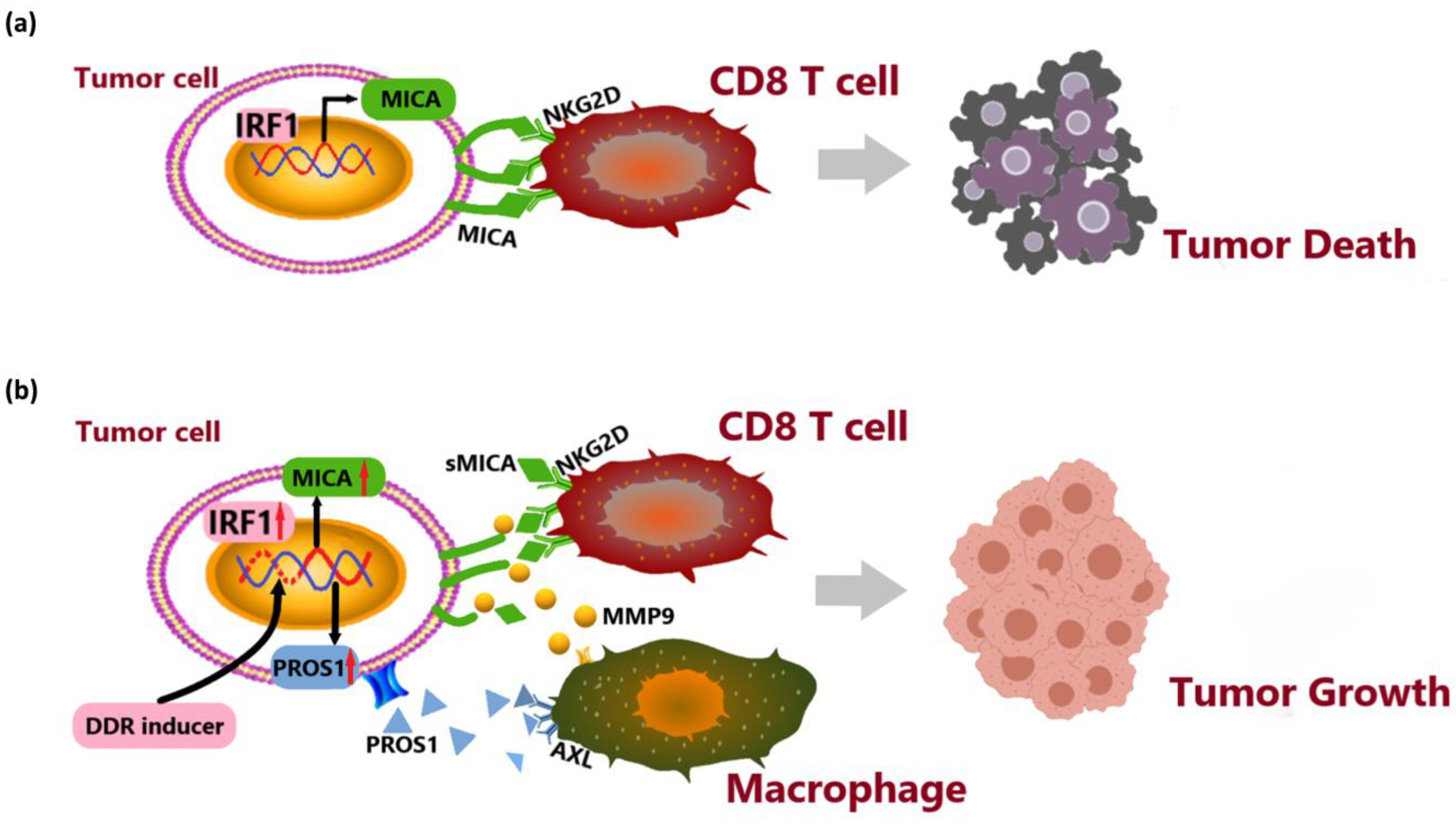 Cancers 16 00269 g008