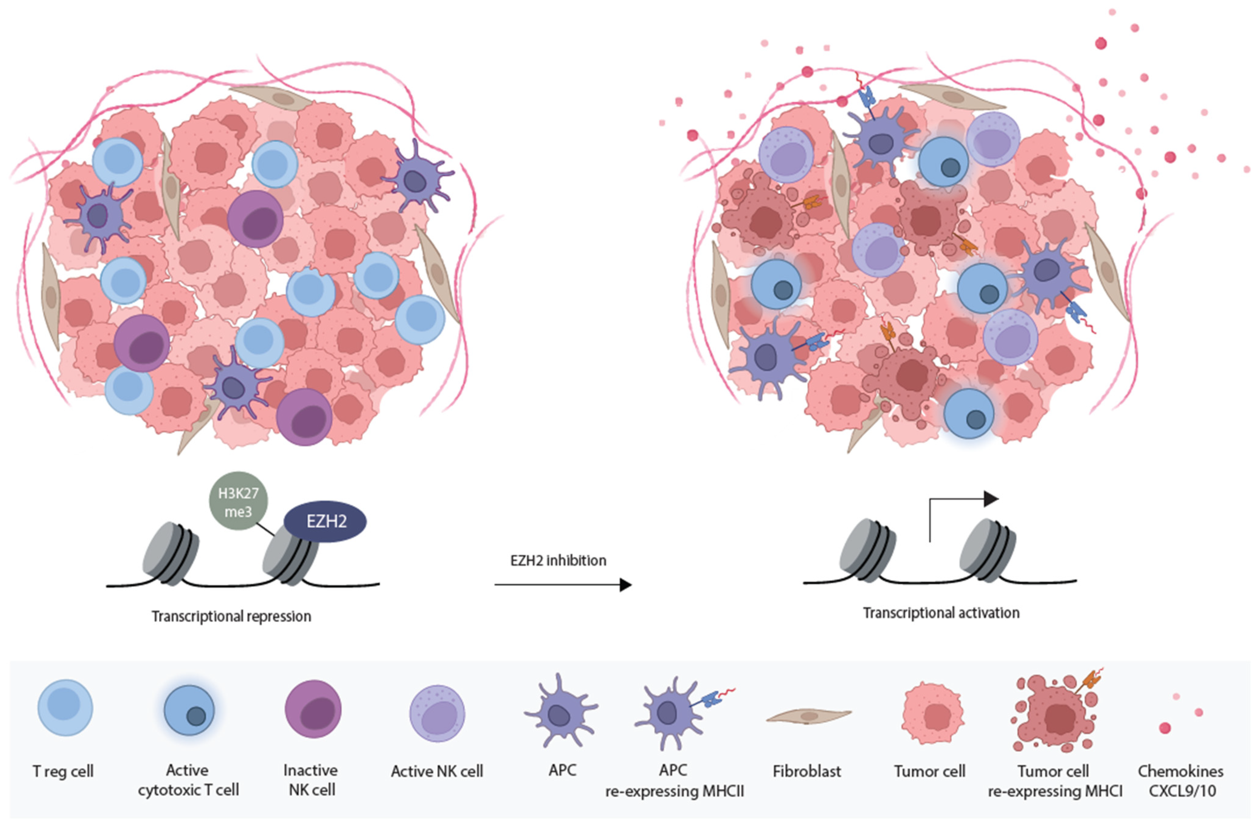 Cancers 16 00294 g002 Cancers 16 00294 g002