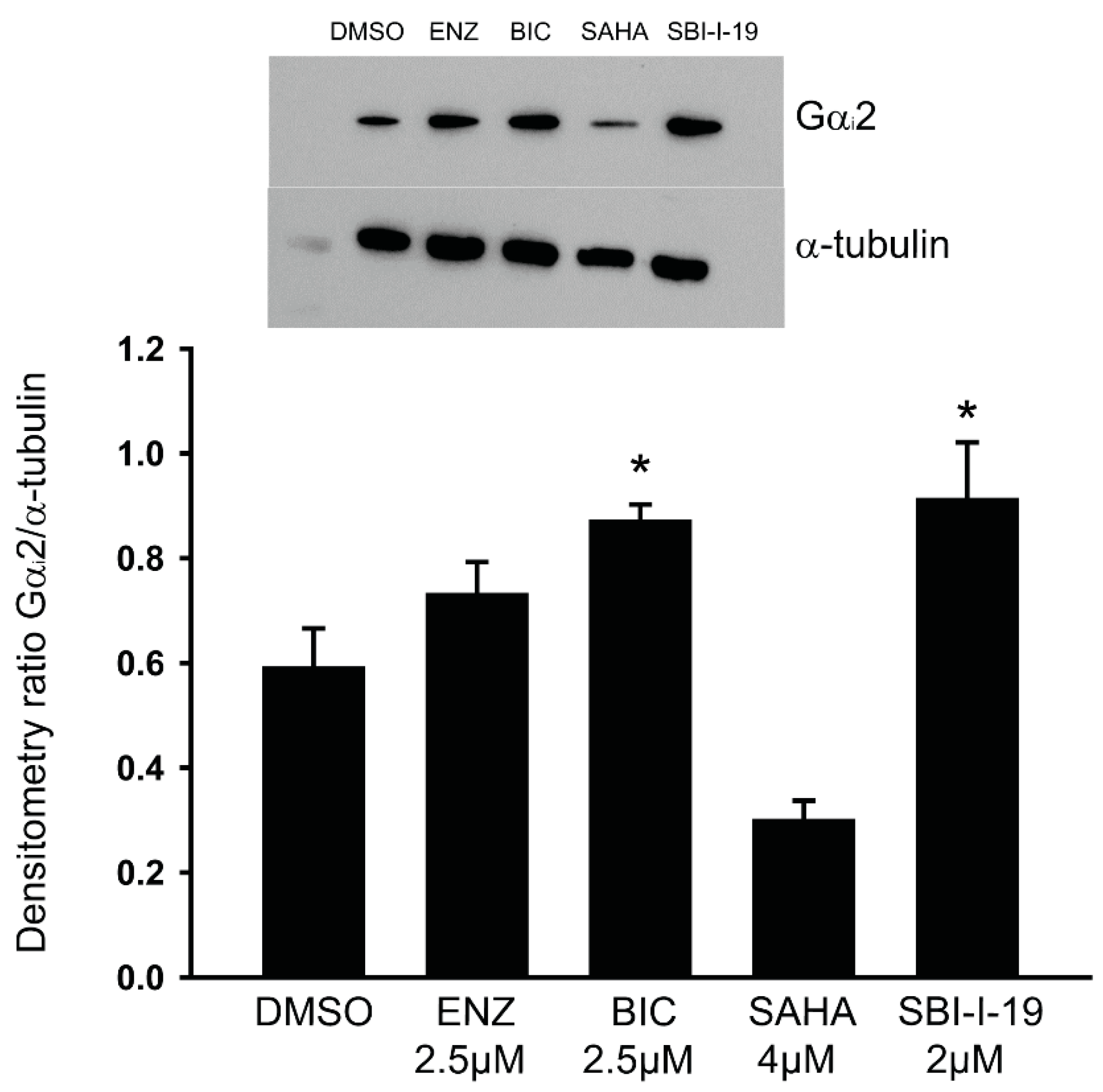 Cancers 16 00296 g006 Cancers 16 00296 g006