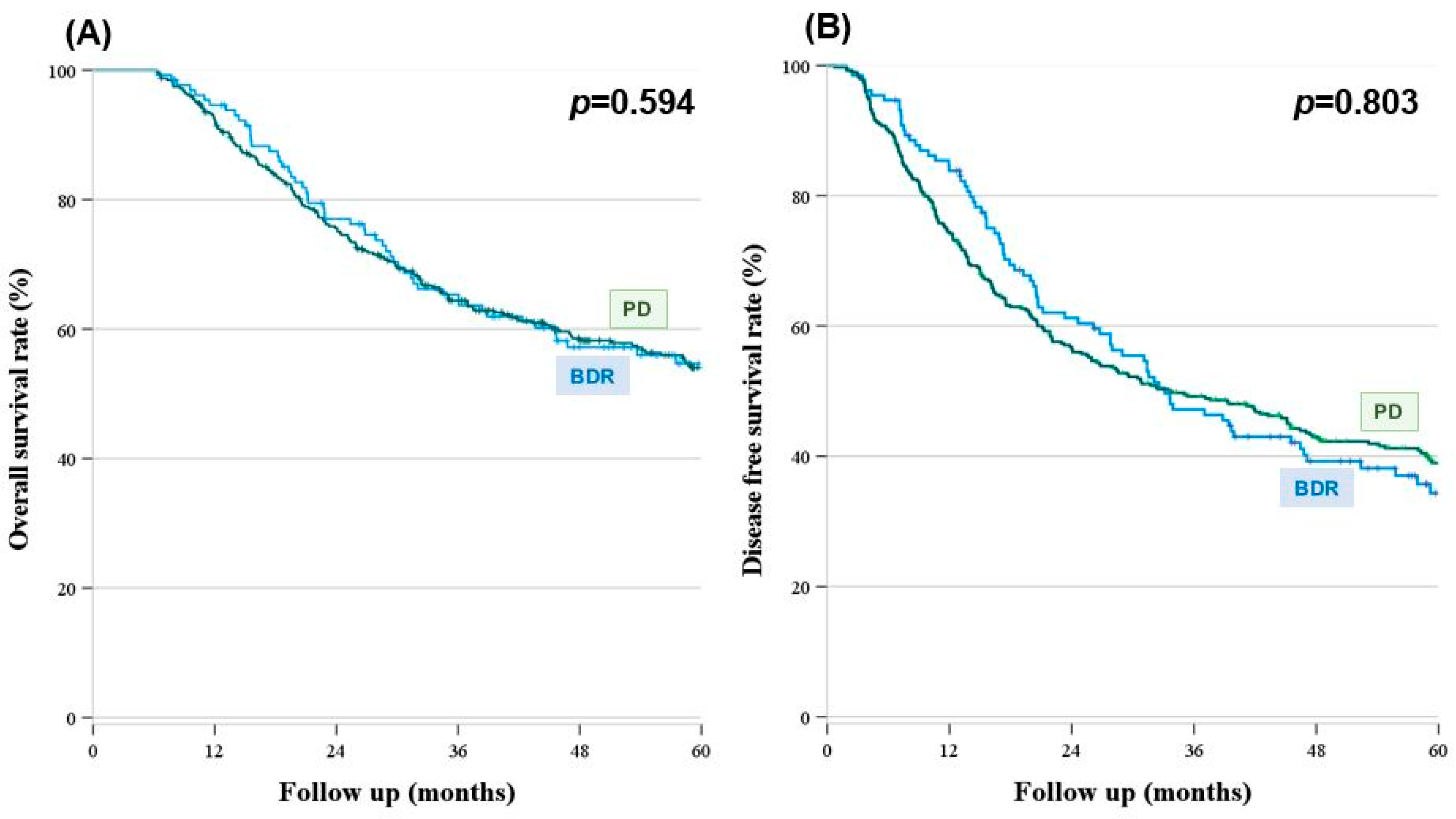 Cancers 16 00297 g002