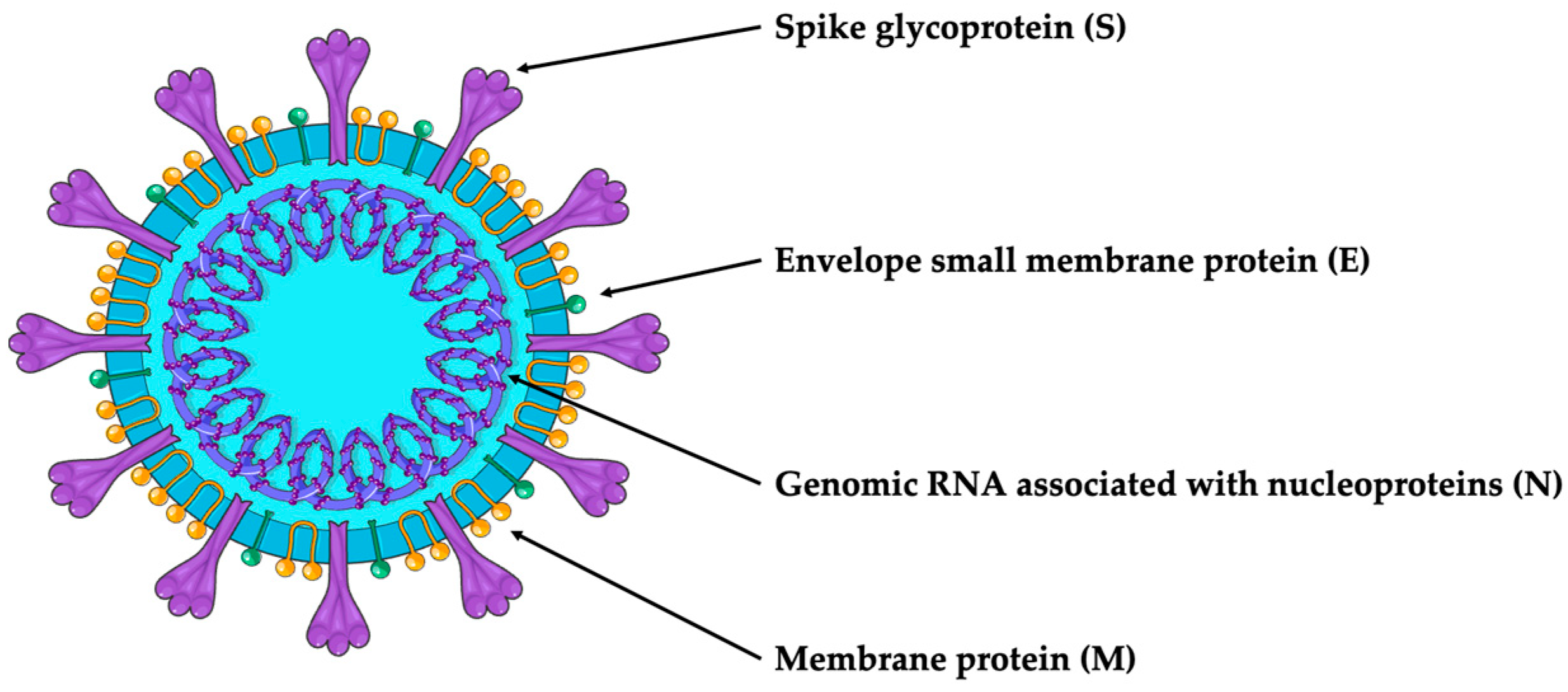 Cancers 16 00298 g001