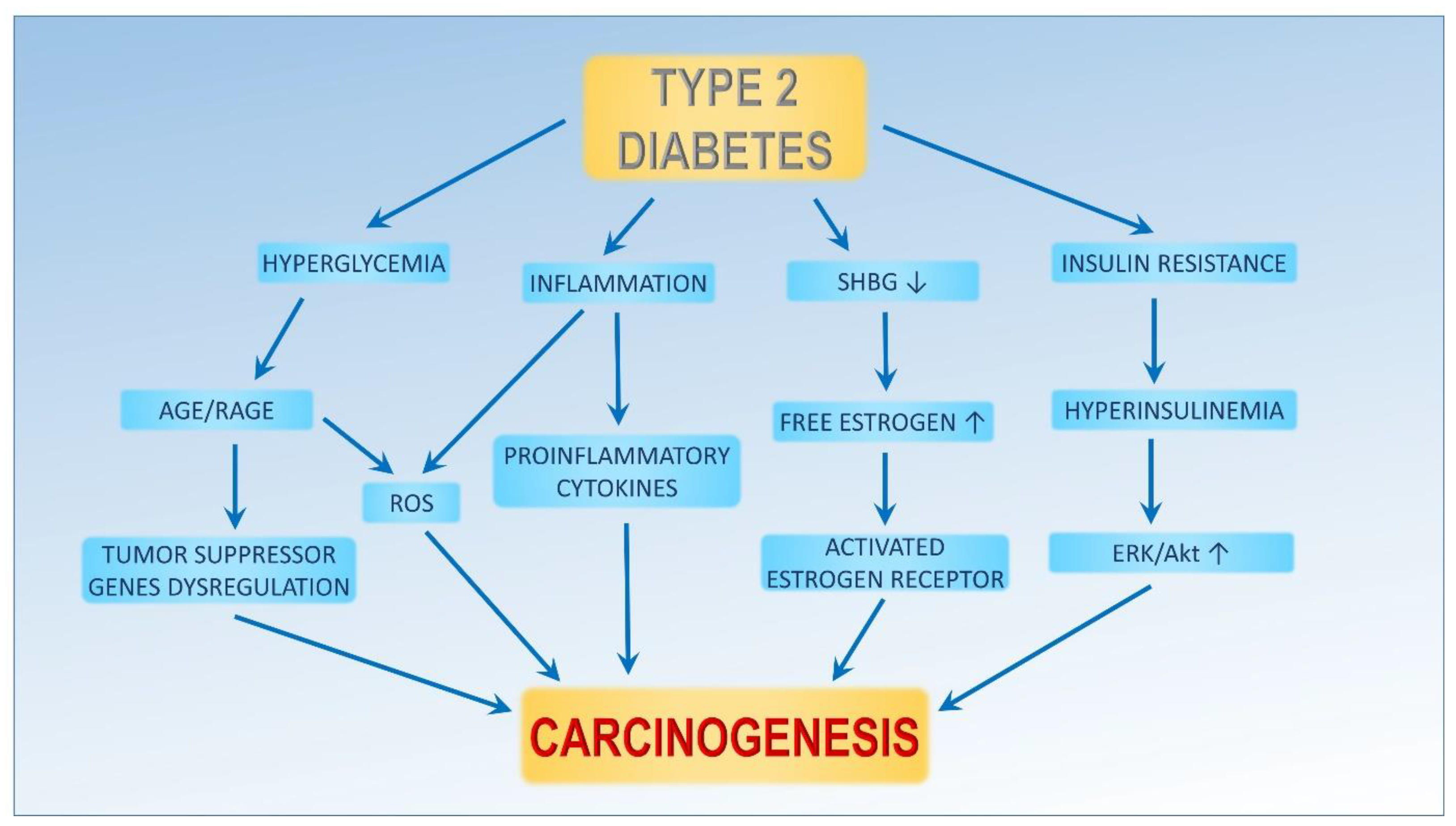 Cancers 16 00299 g001 Cancers 16 00299 g001
