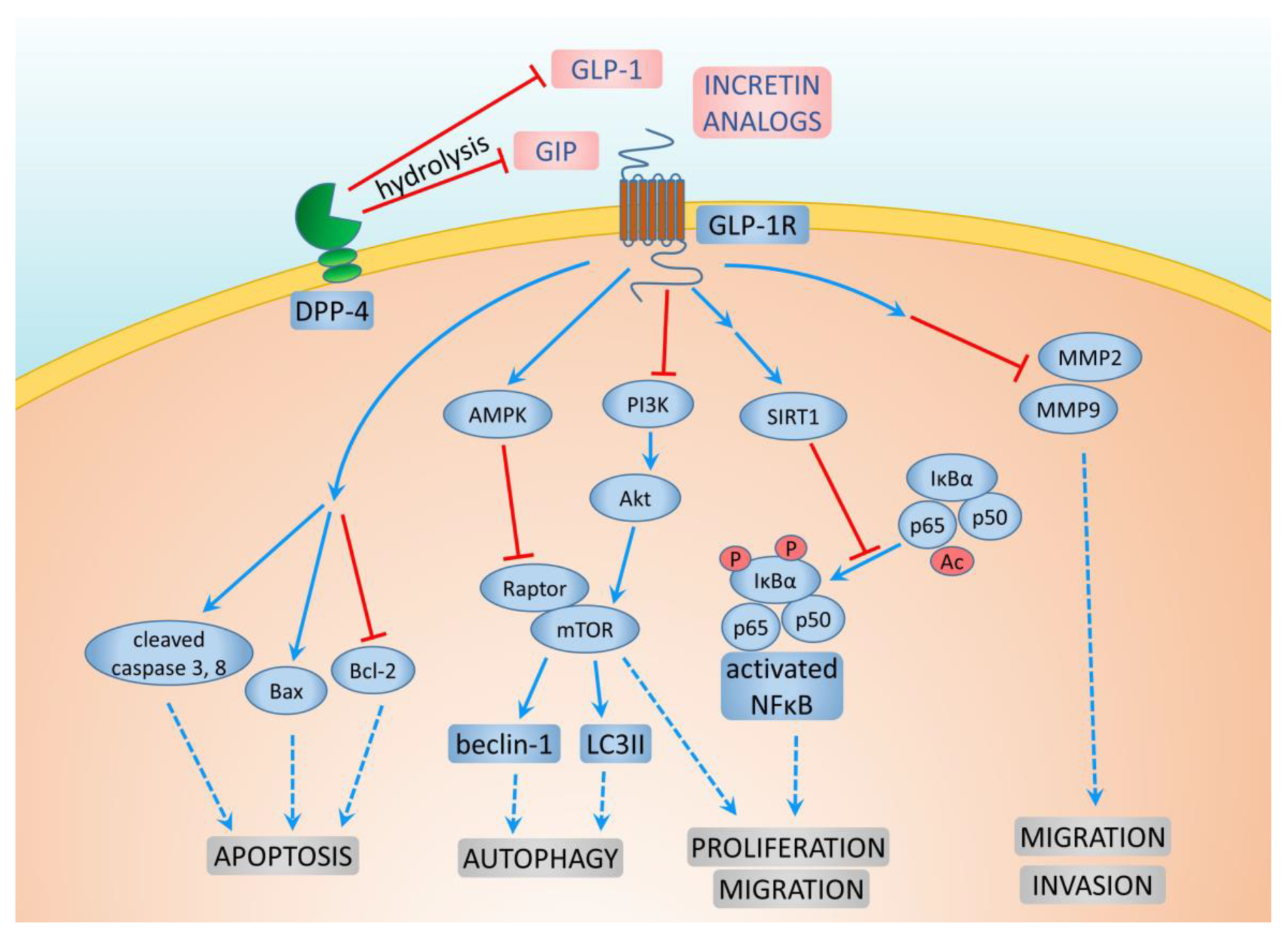 Cancers 16 00299 g003 Cancers 16 00299 g003