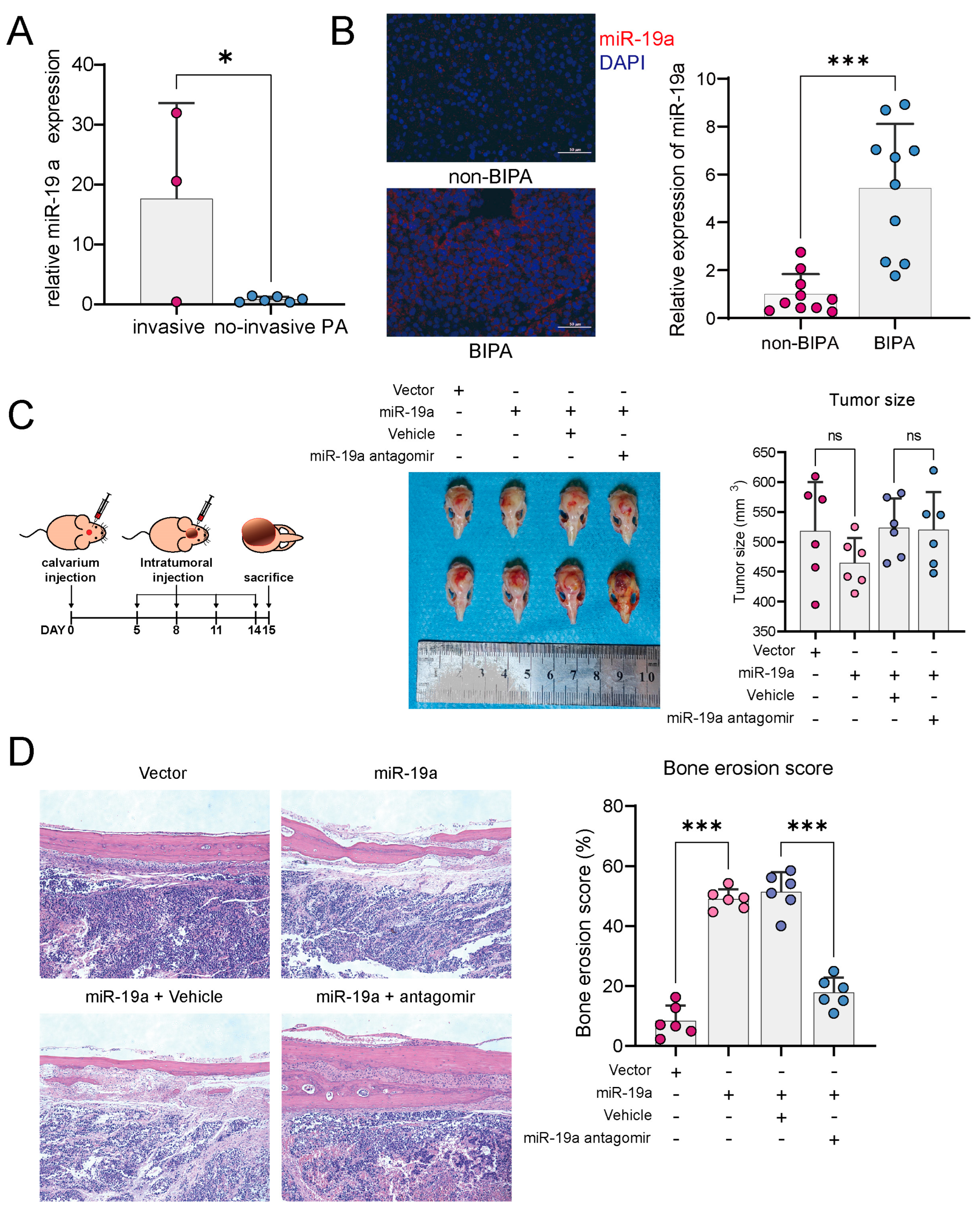 Cancers 16 00302 g001