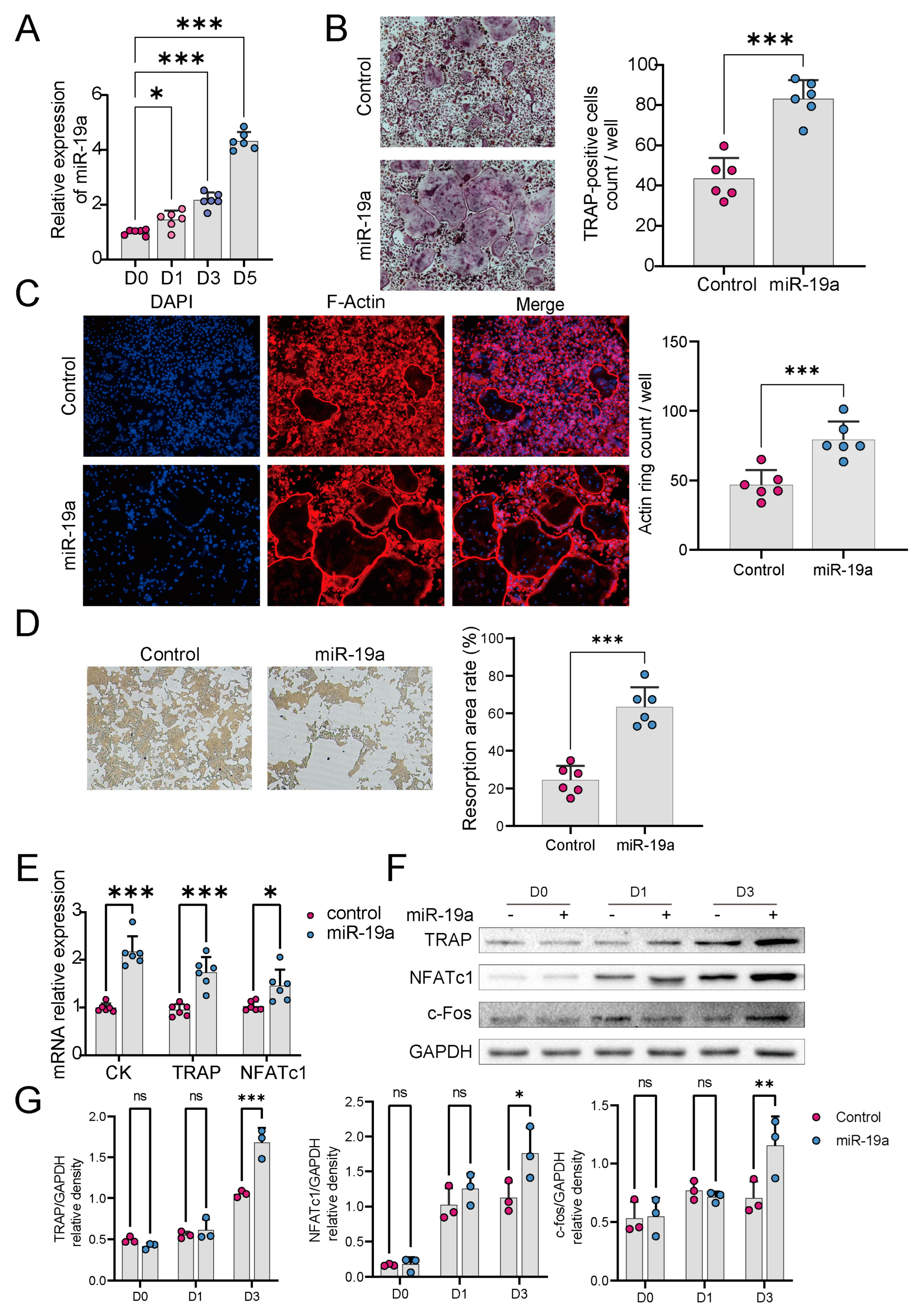 Cancers 16 00302 g002