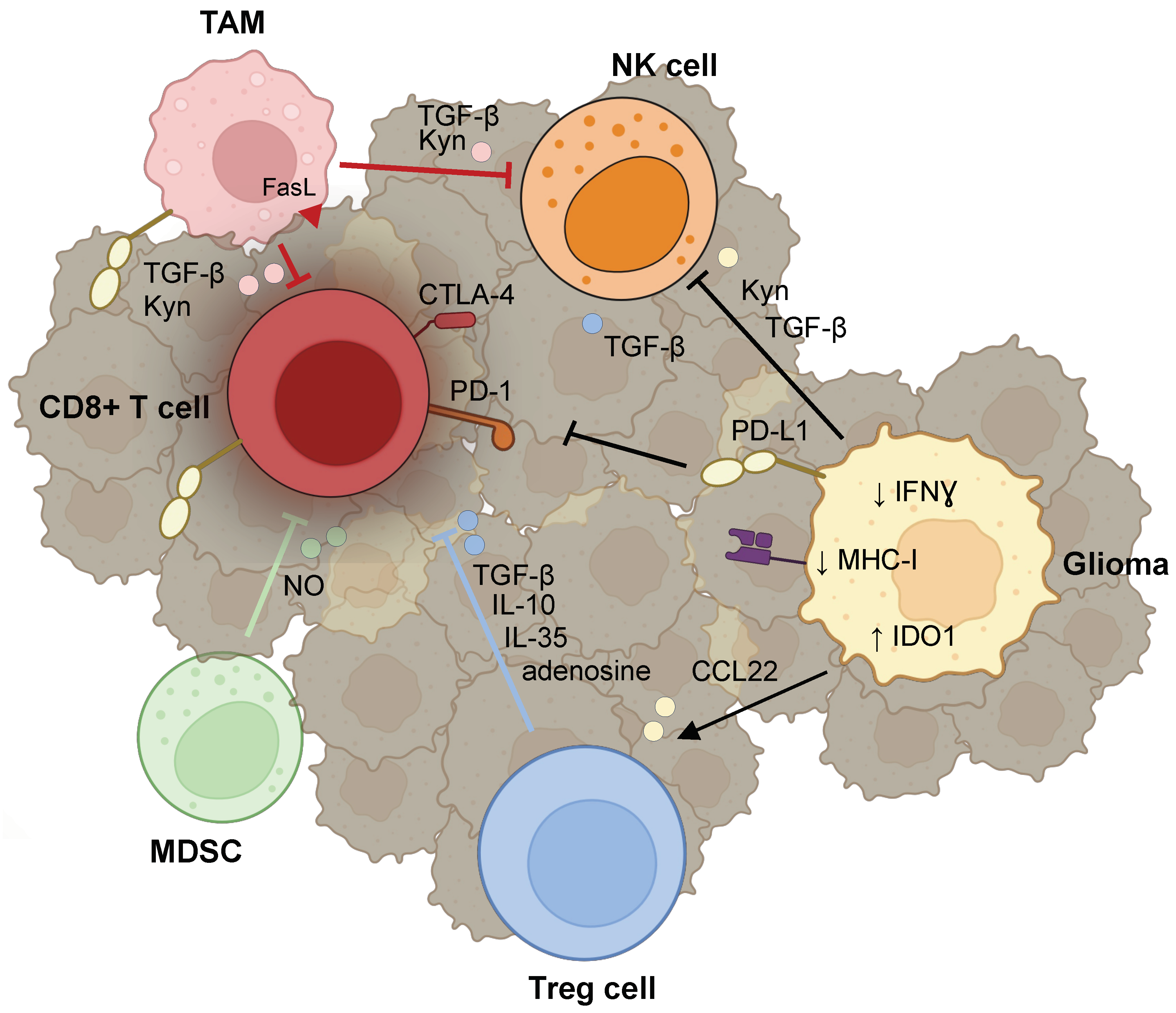 Cancers 16 00308 g002