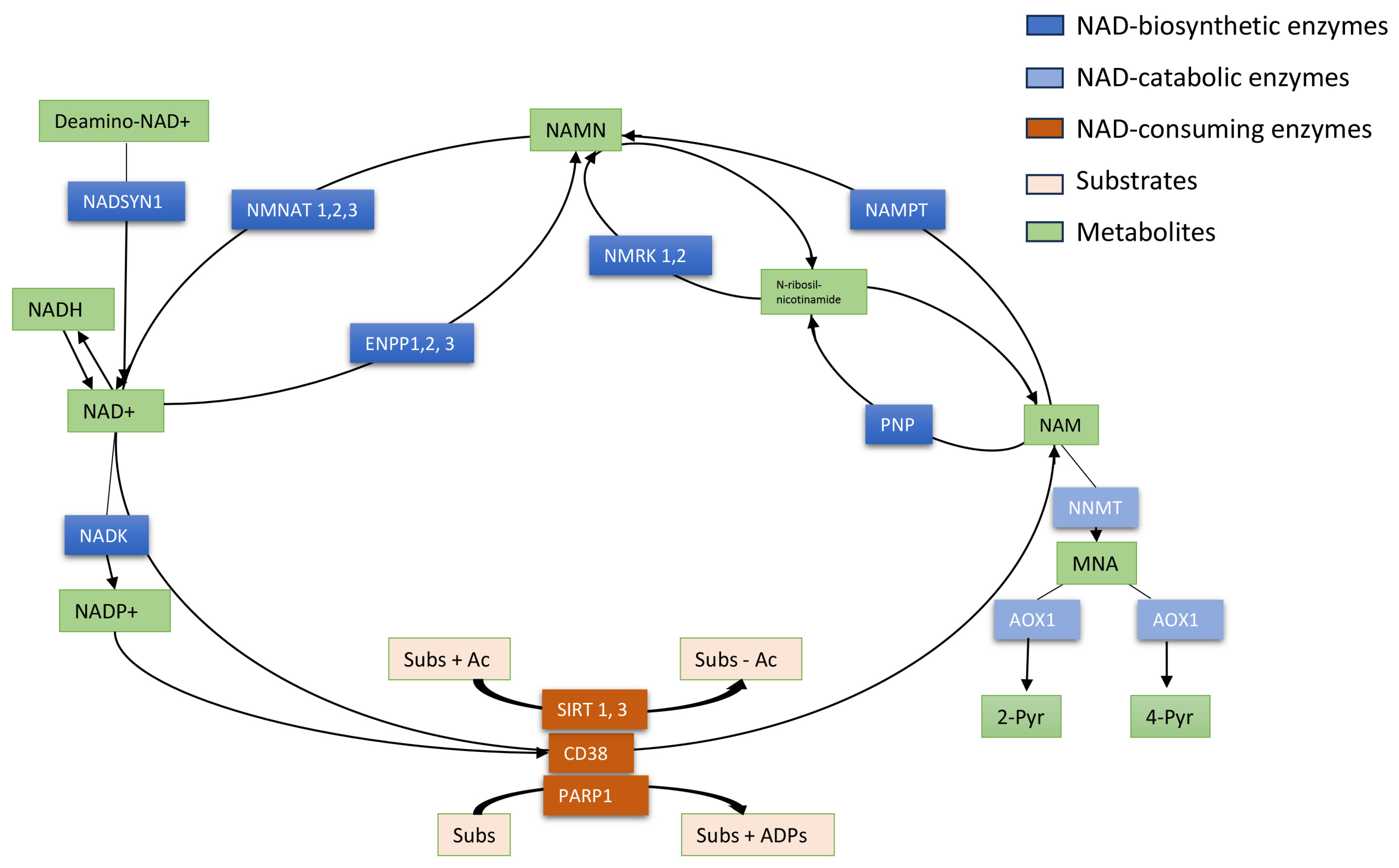 Cancers 16 00309 g001