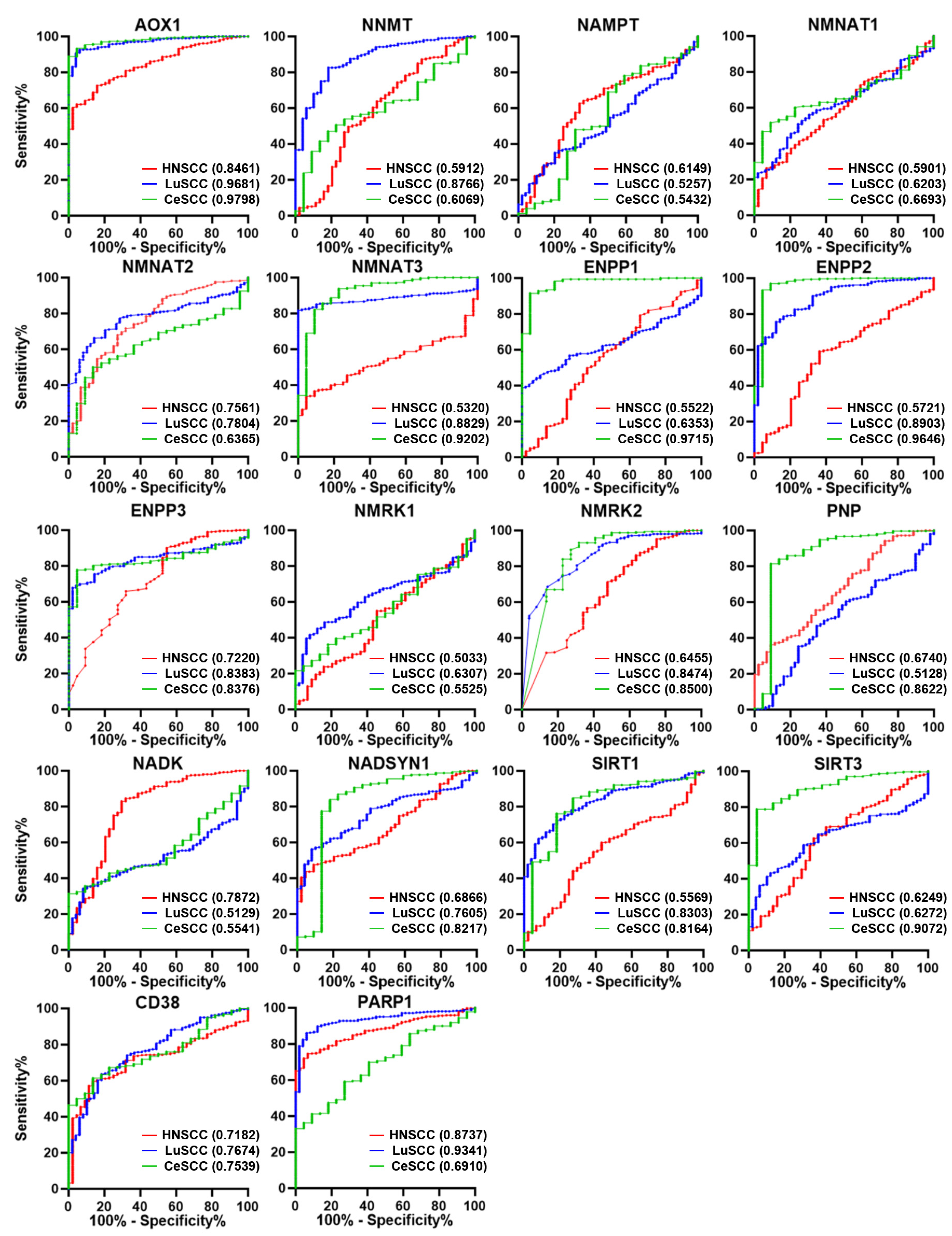 Cancers 16 00309 g003