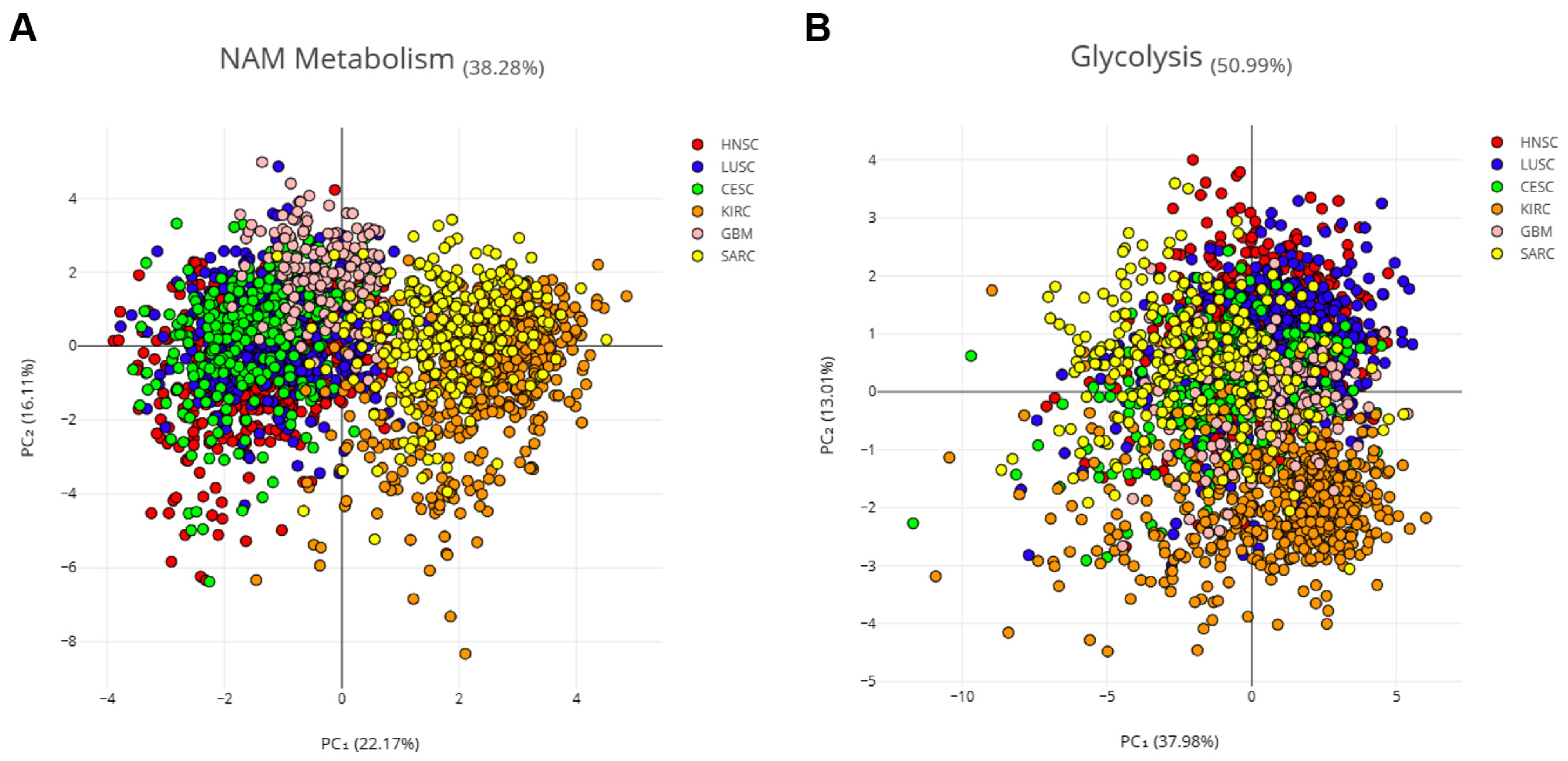 Cancers 16 00309 g004
