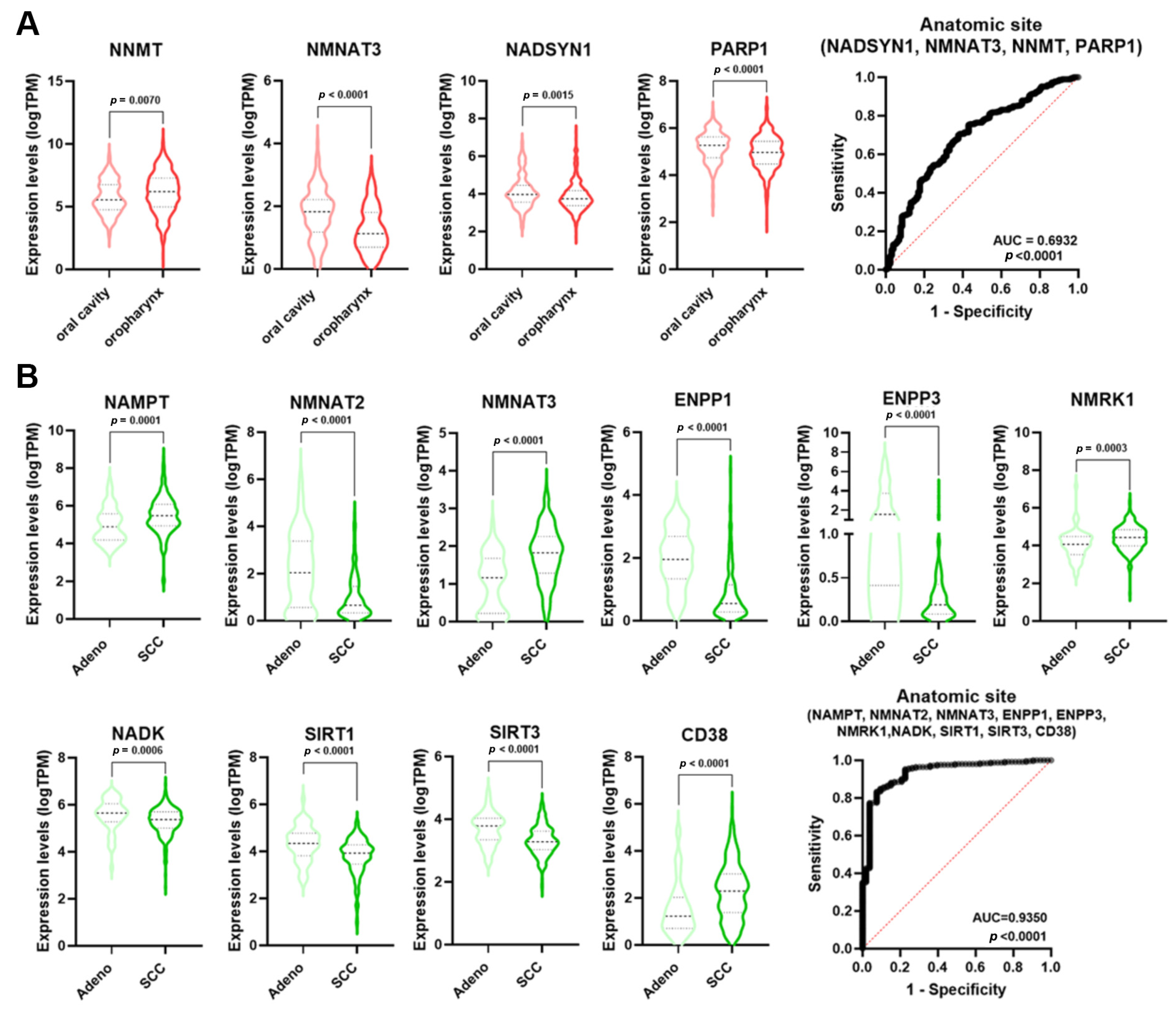 Cancers 16 00309 g006