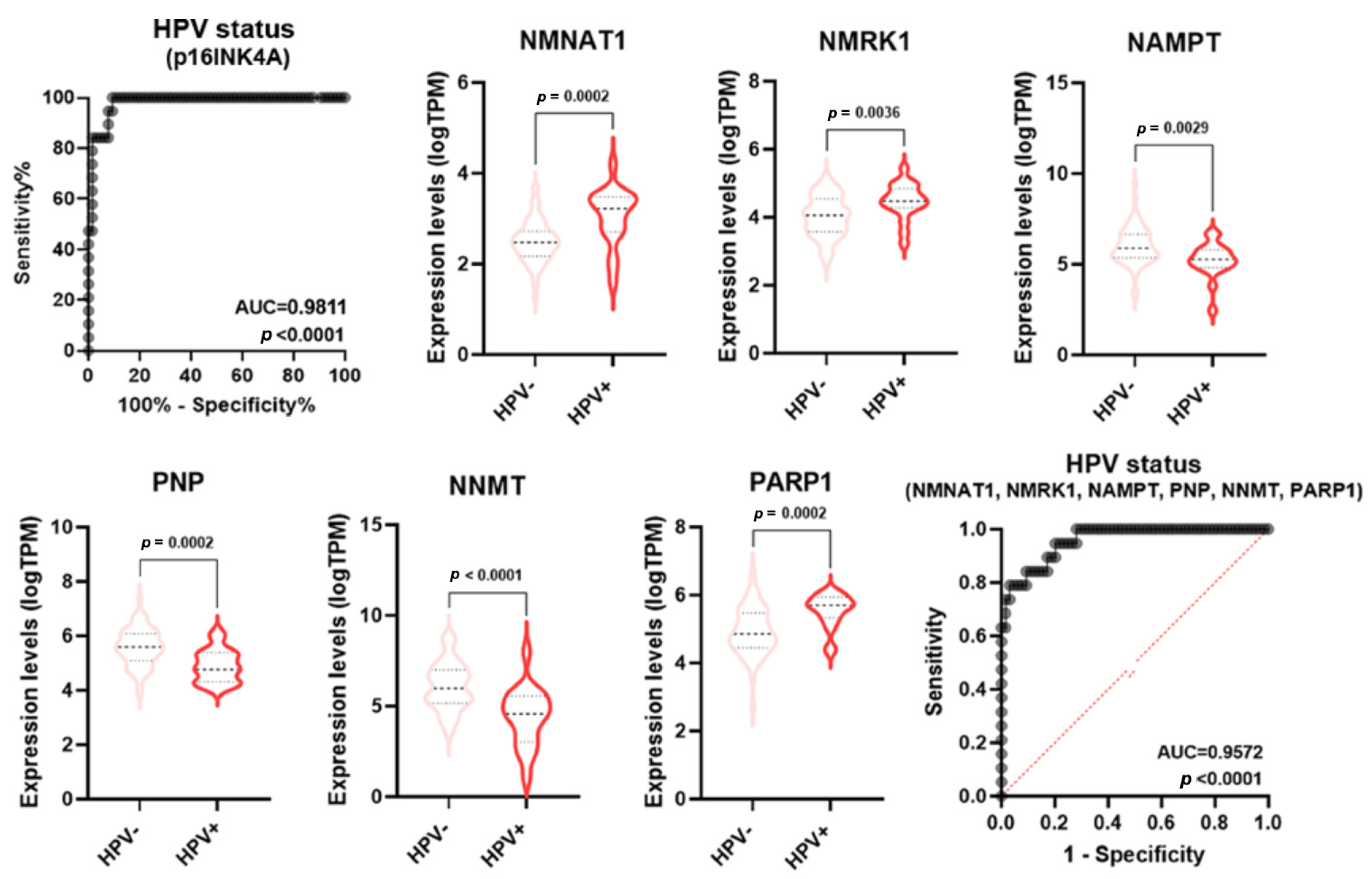 Cancers 16 00309 g007