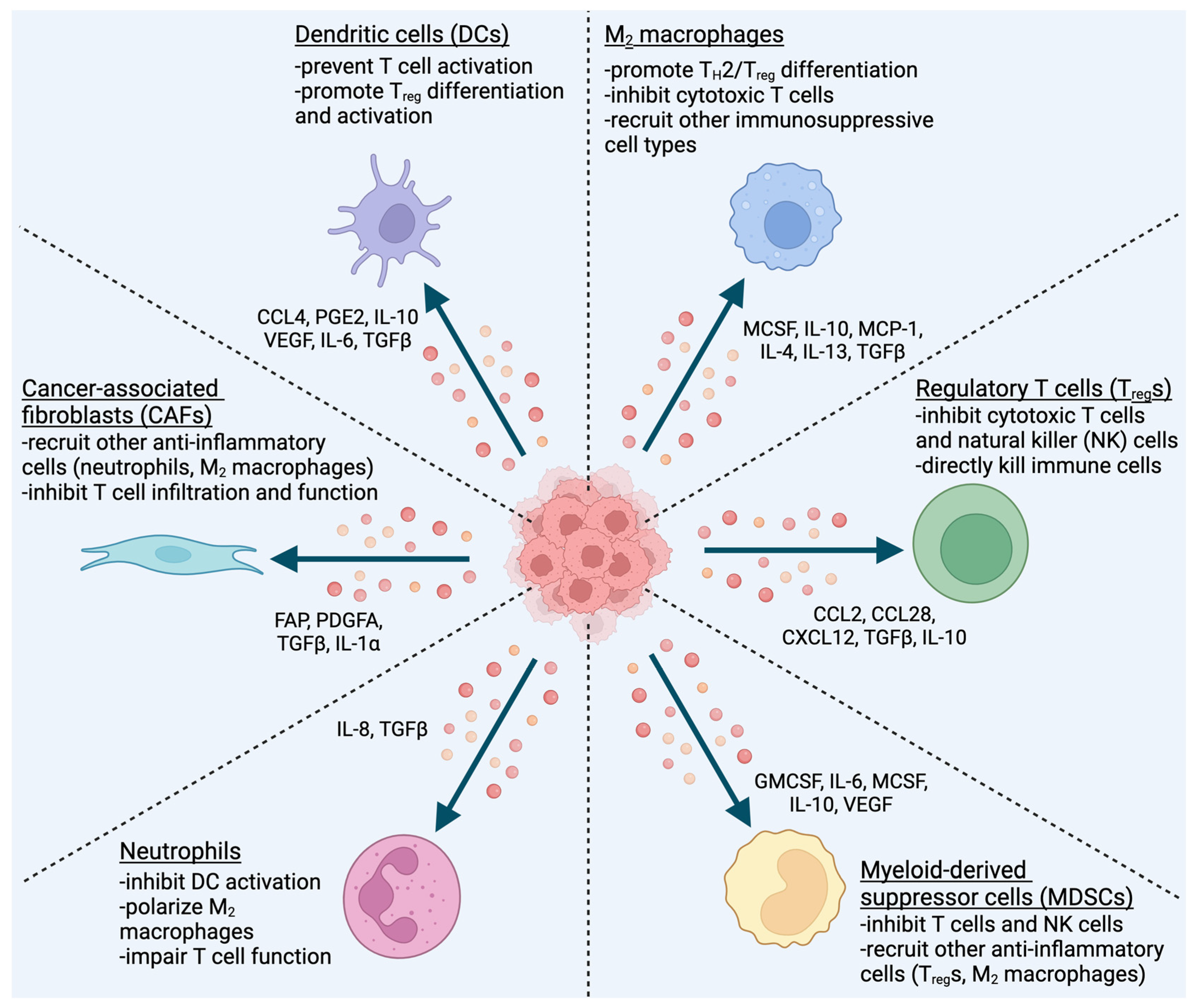 Cancers 16 00312 g002 Cancers 16 00312 g002