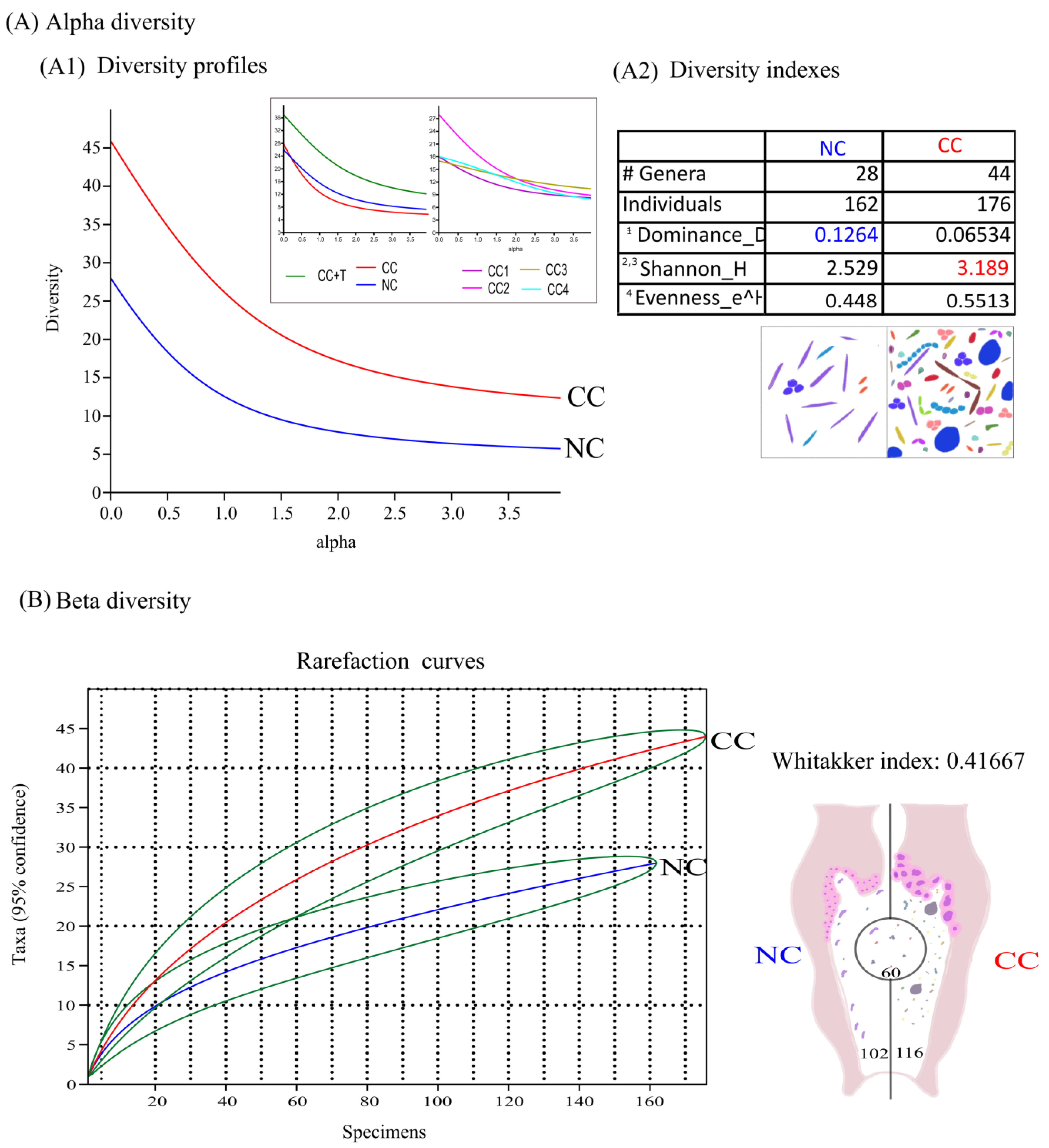 Cancers 16 00314 g003