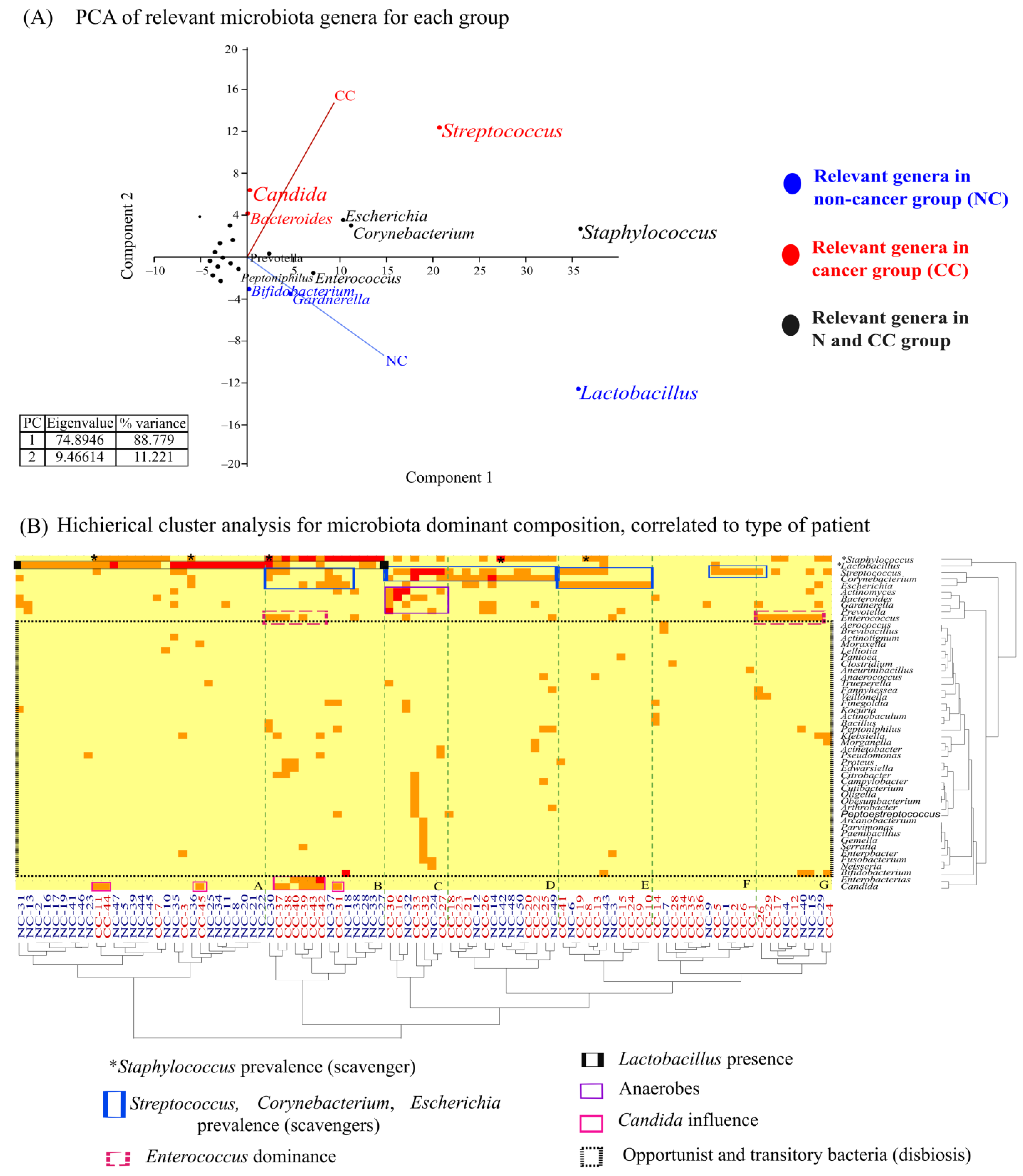 Cancers 16 00314 g004