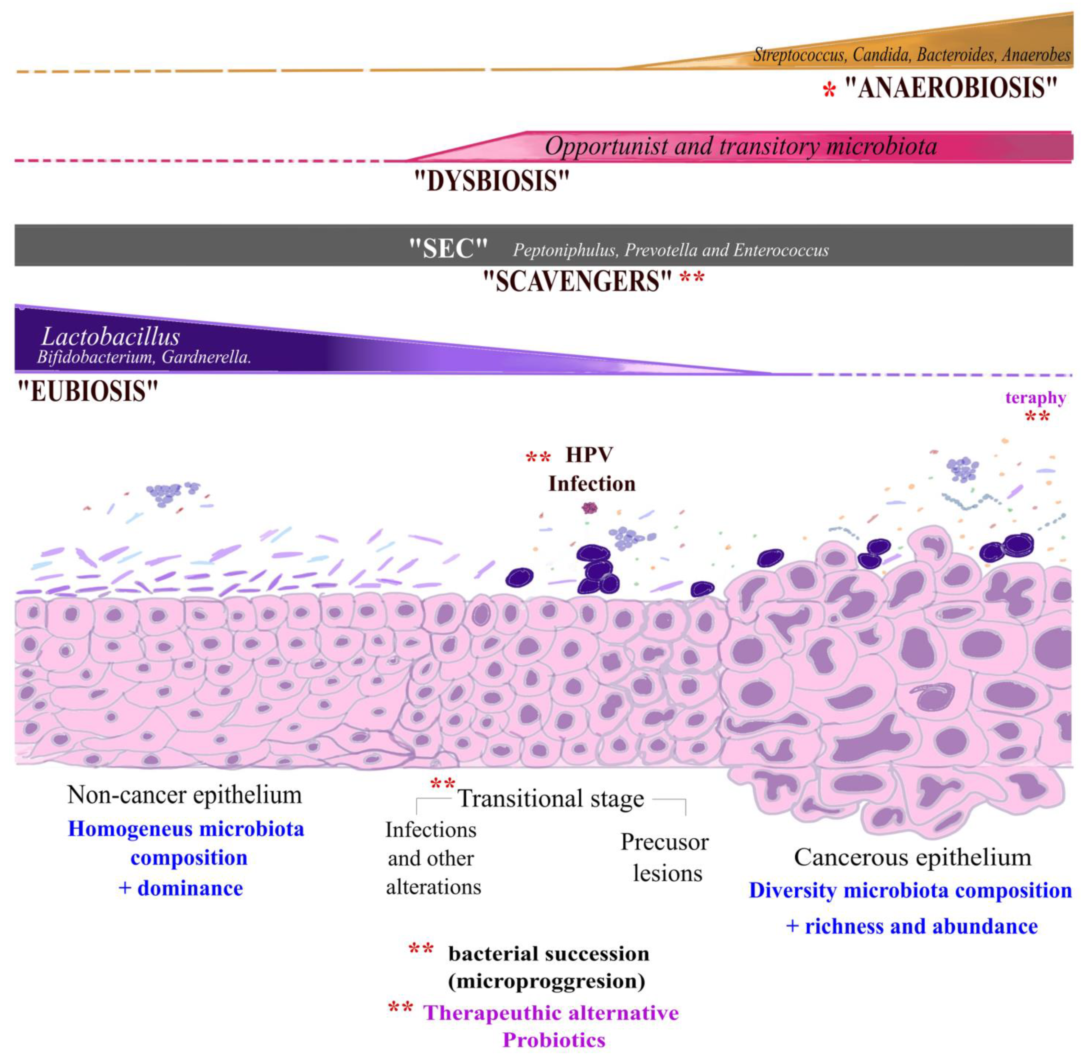 Cancers 16 00314 g005