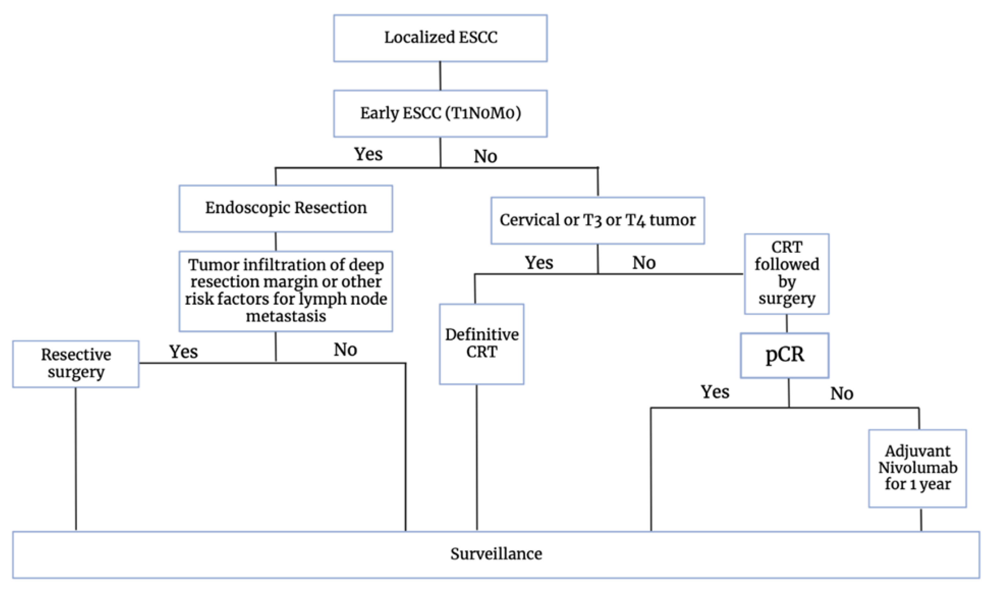 Cancers 16 00318 g003