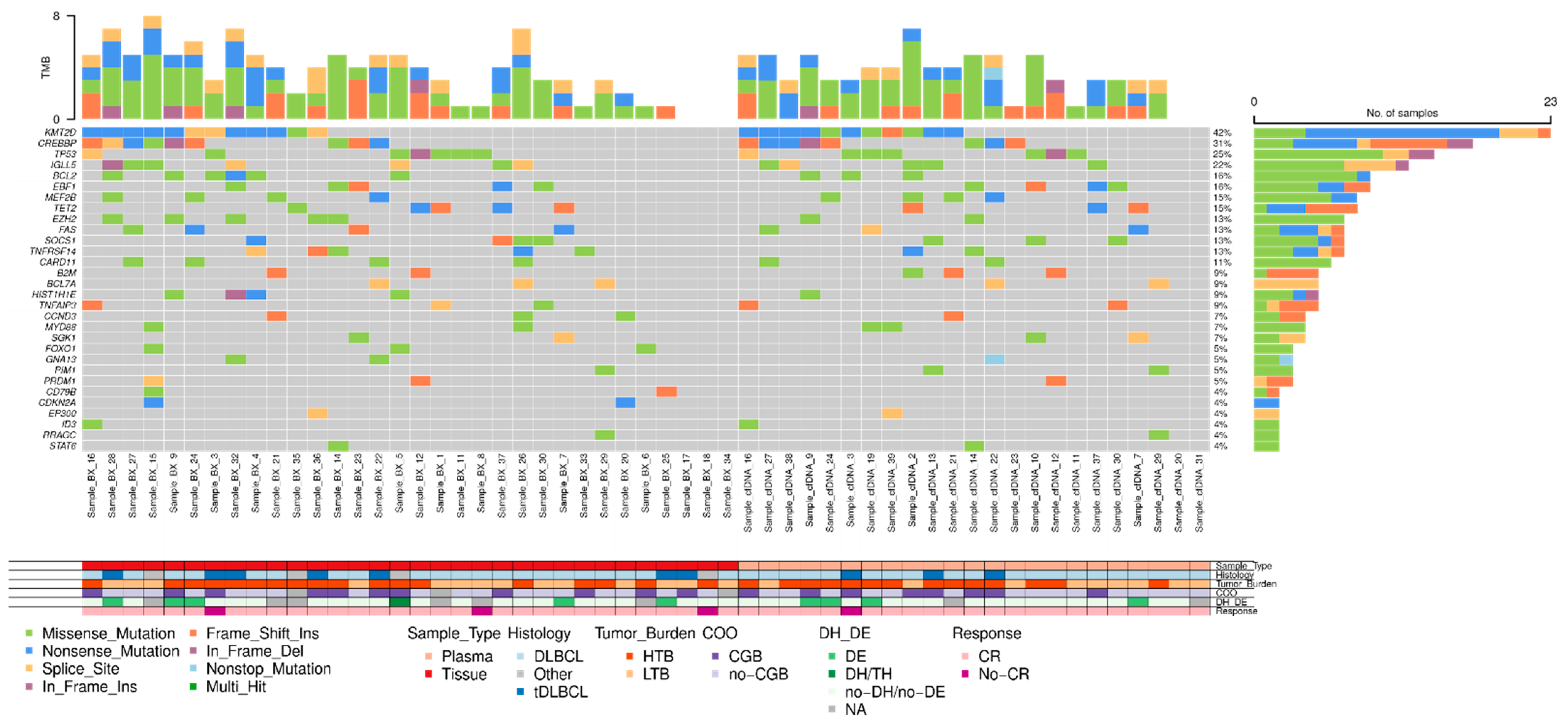 Cancers 16 00321 g004