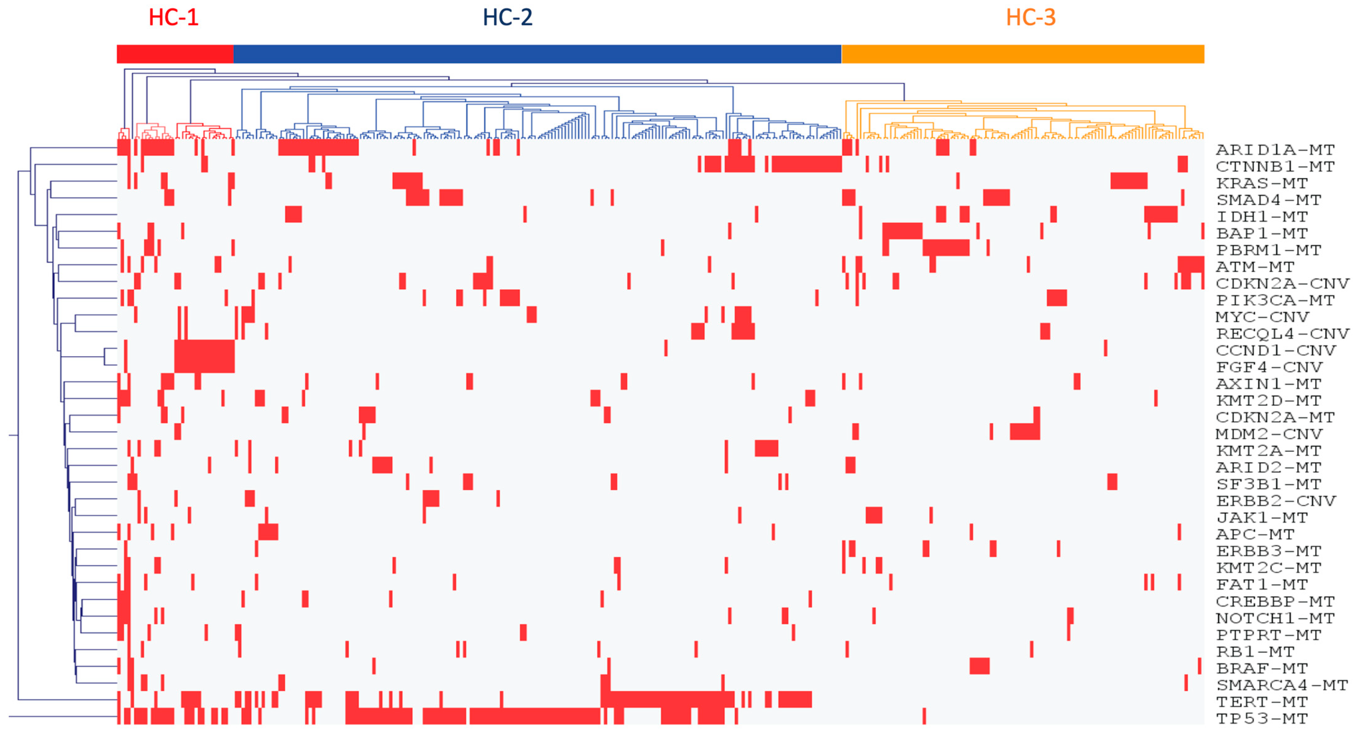 Cancers 16 00325 g002 Cancers 16 00325 g002