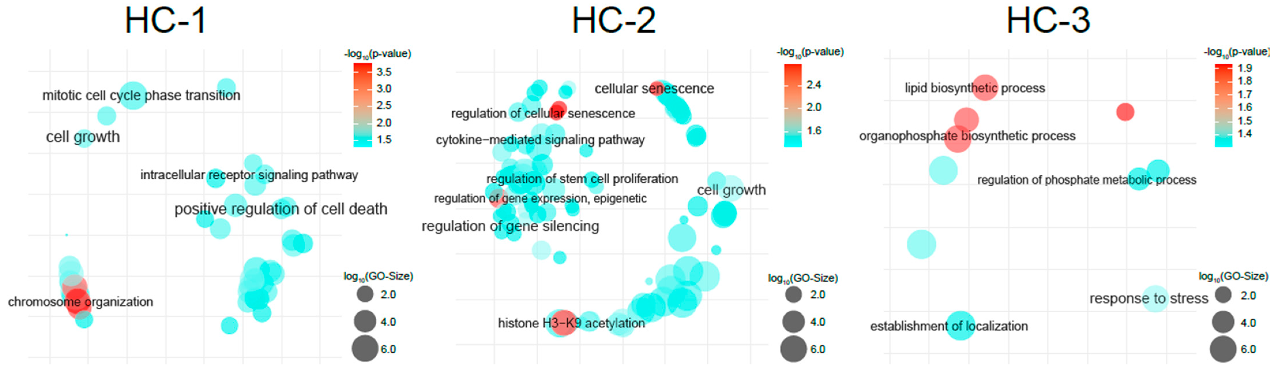 Cancers 16 00325 g004 Cancers 16 00325 g004