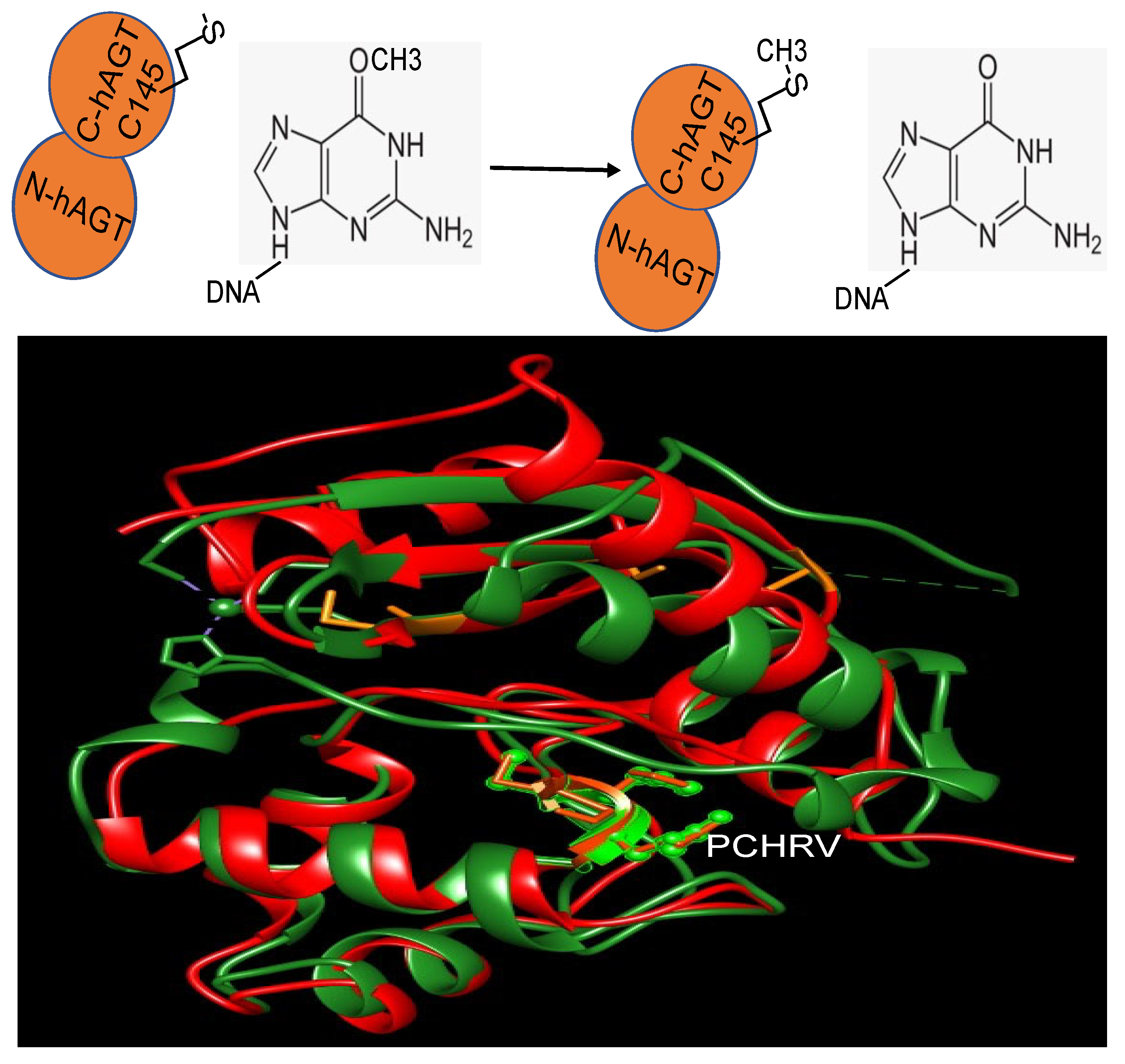 Cancers 16 00331 g001 Cancers 16 00331 g001