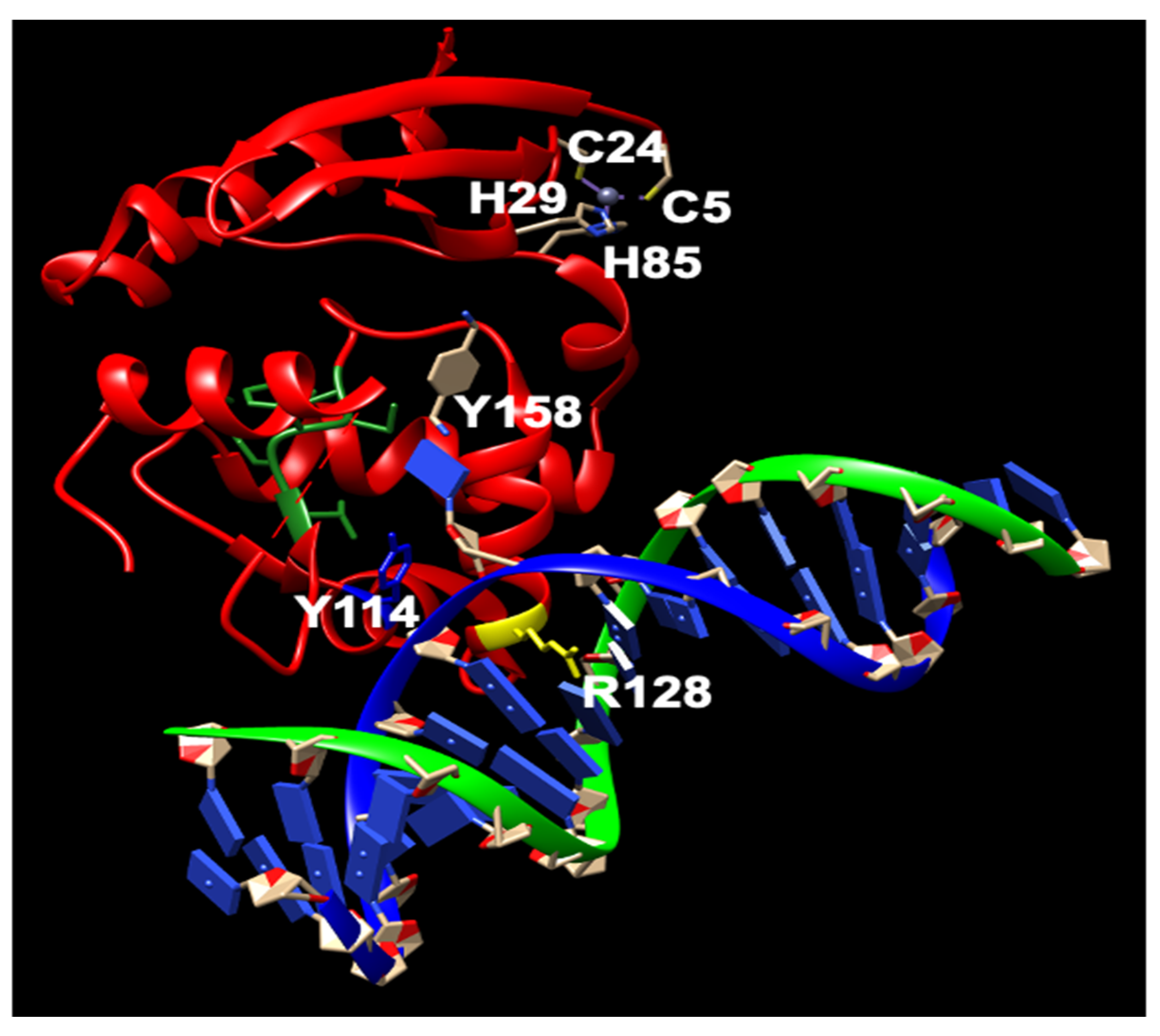 Cancers 16 00331 g002 Cancers 16 00331 g002