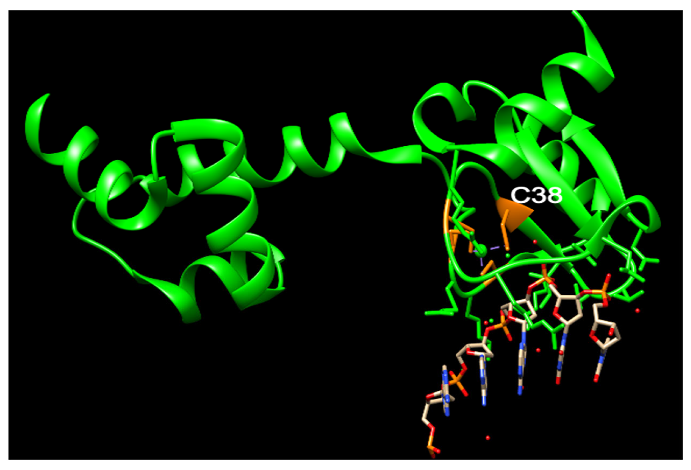 Cancers 16 00331 g003 Cancers 16 00331 g003