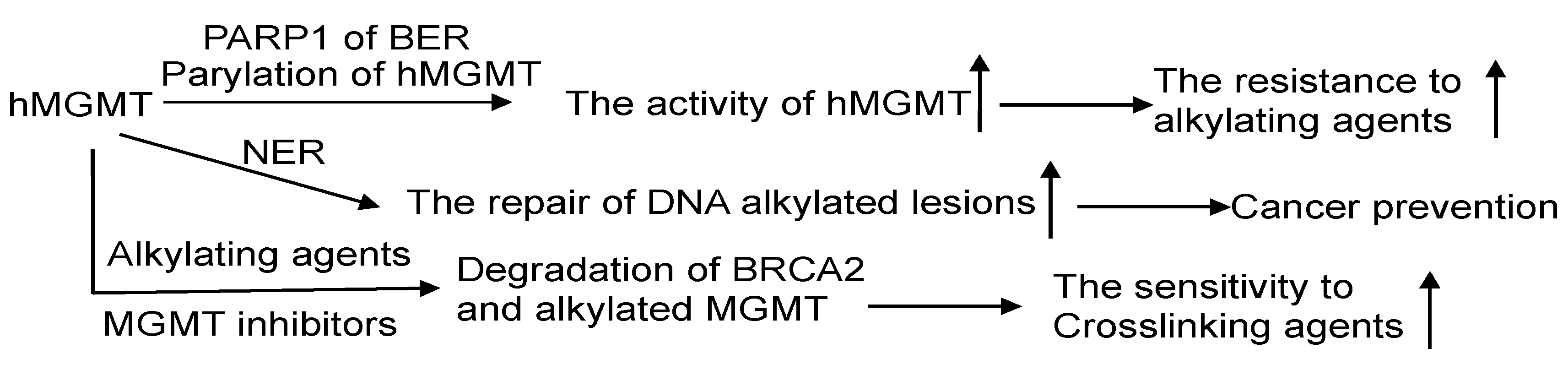 Cancers 16 00331 g006 Cancers 16 00331 g006