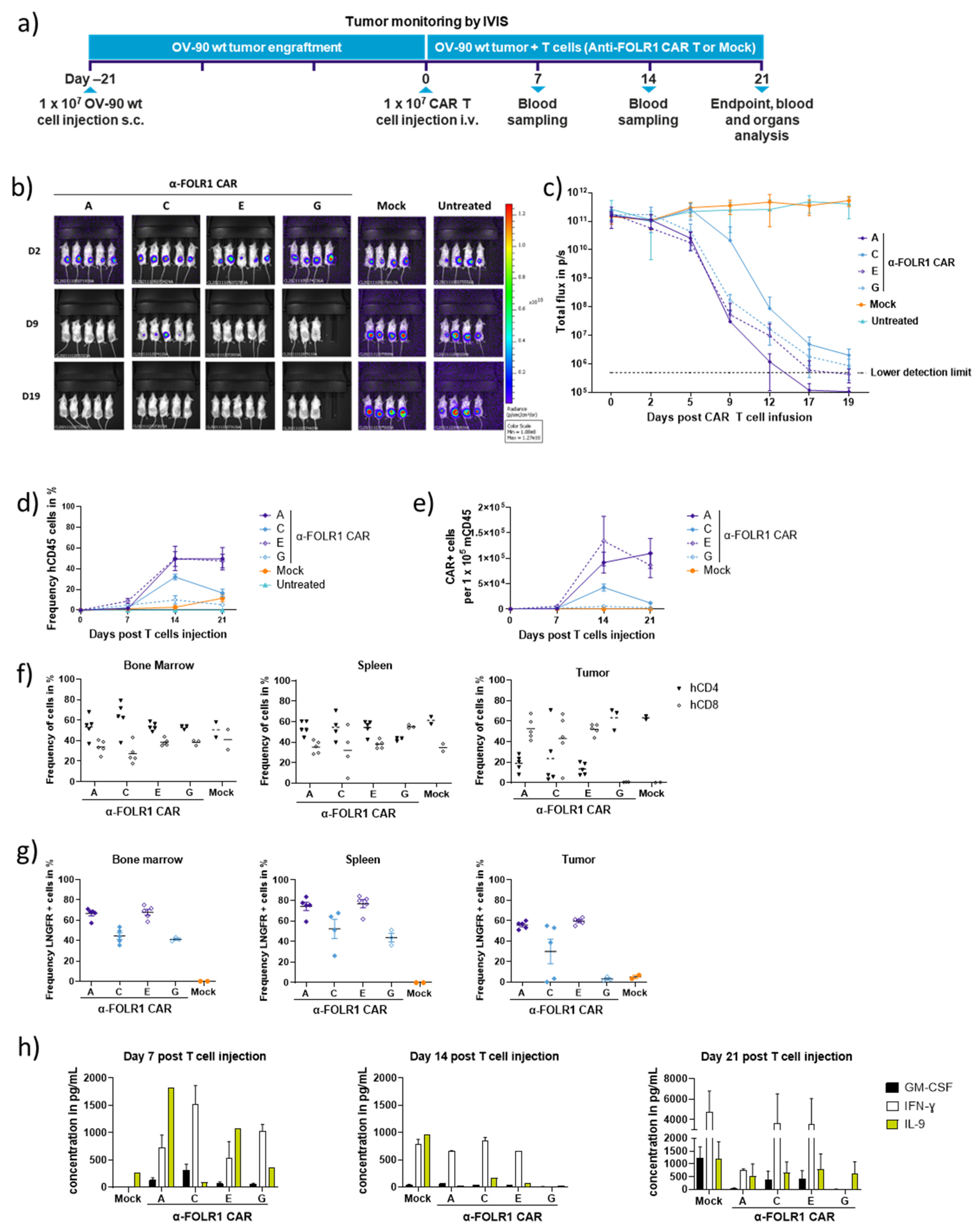Cancers 16 00333 g003