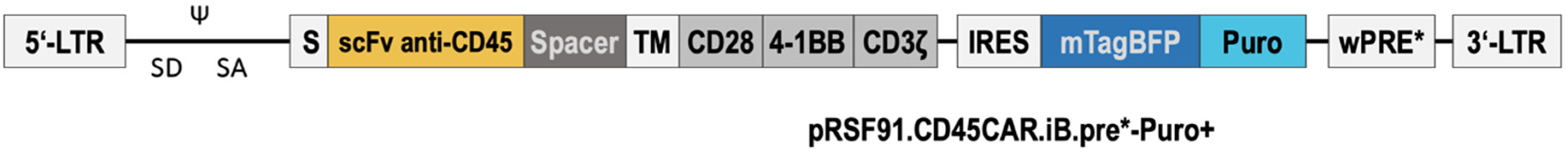 Cancers 16 00334 g001