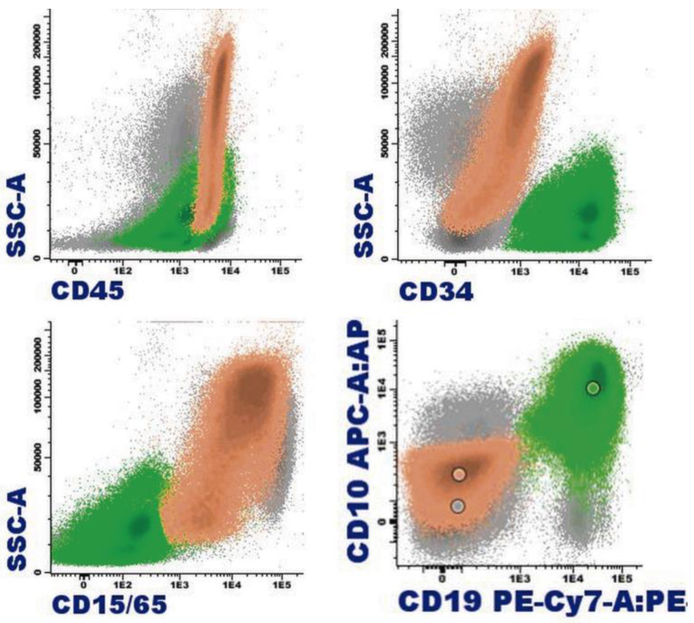 Cancers 16 00337 g008 Cancers 16 00337 g008