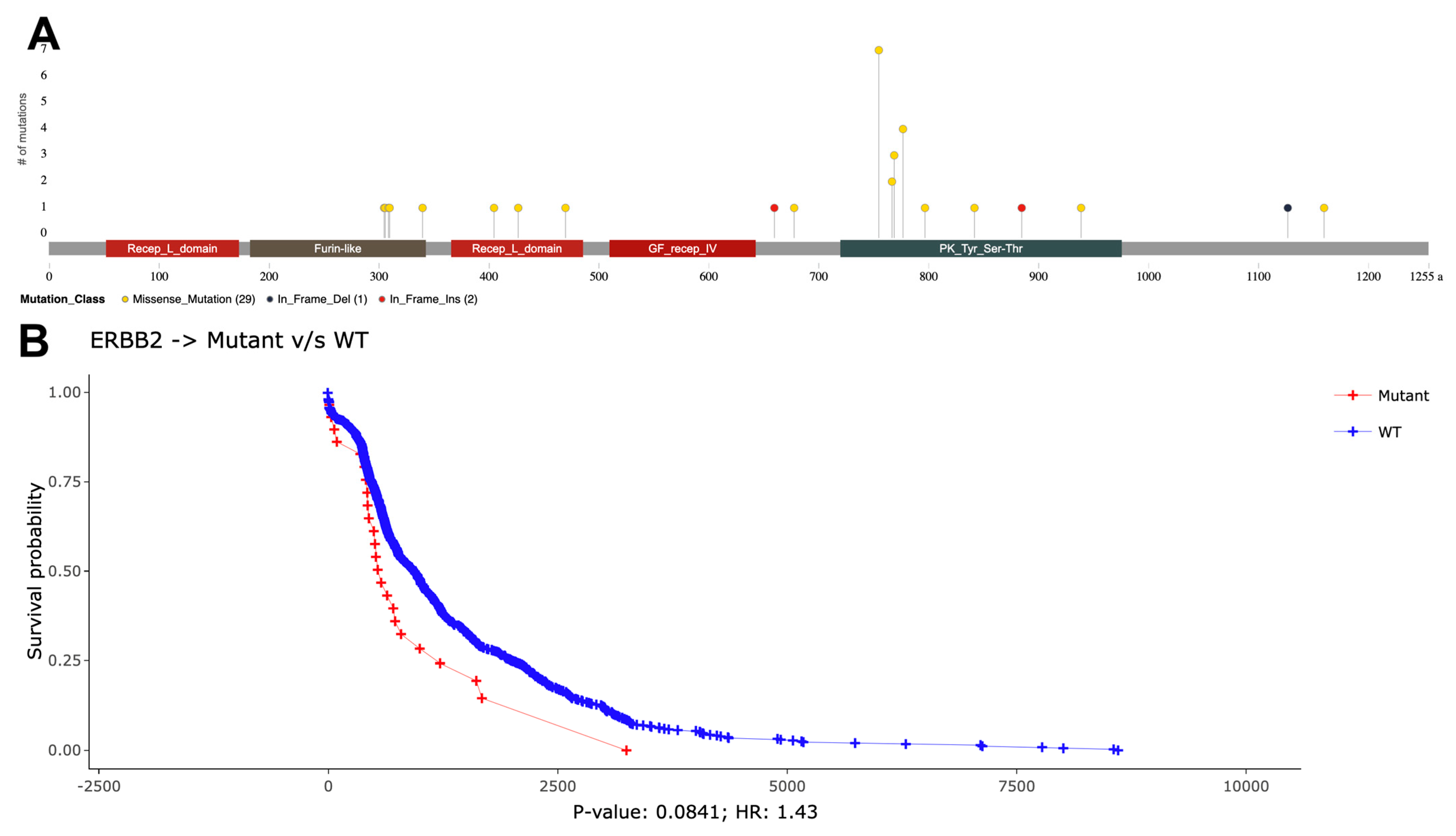 Cancers 16 00345 g006