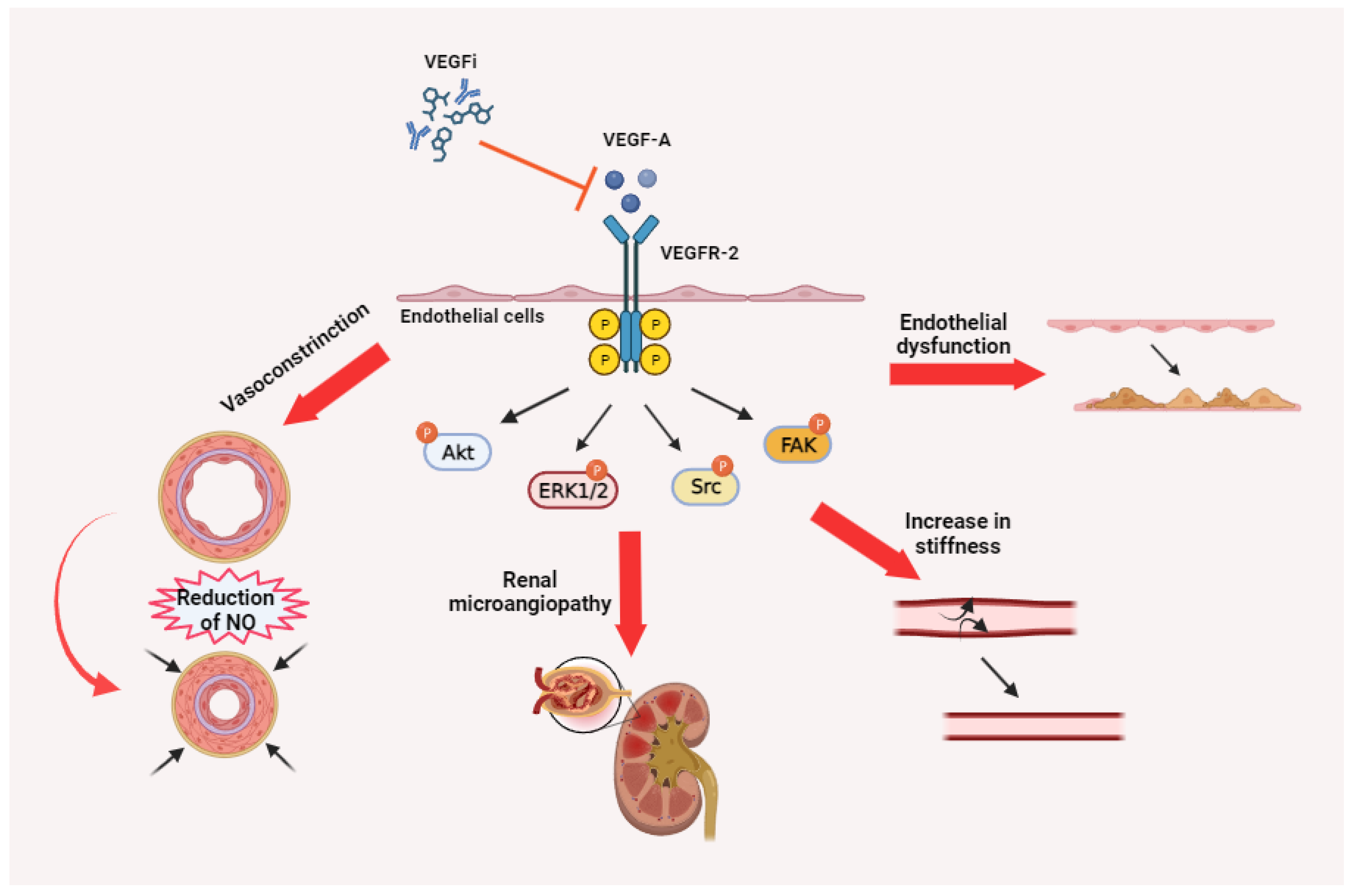 Cancers 16 00350 g003