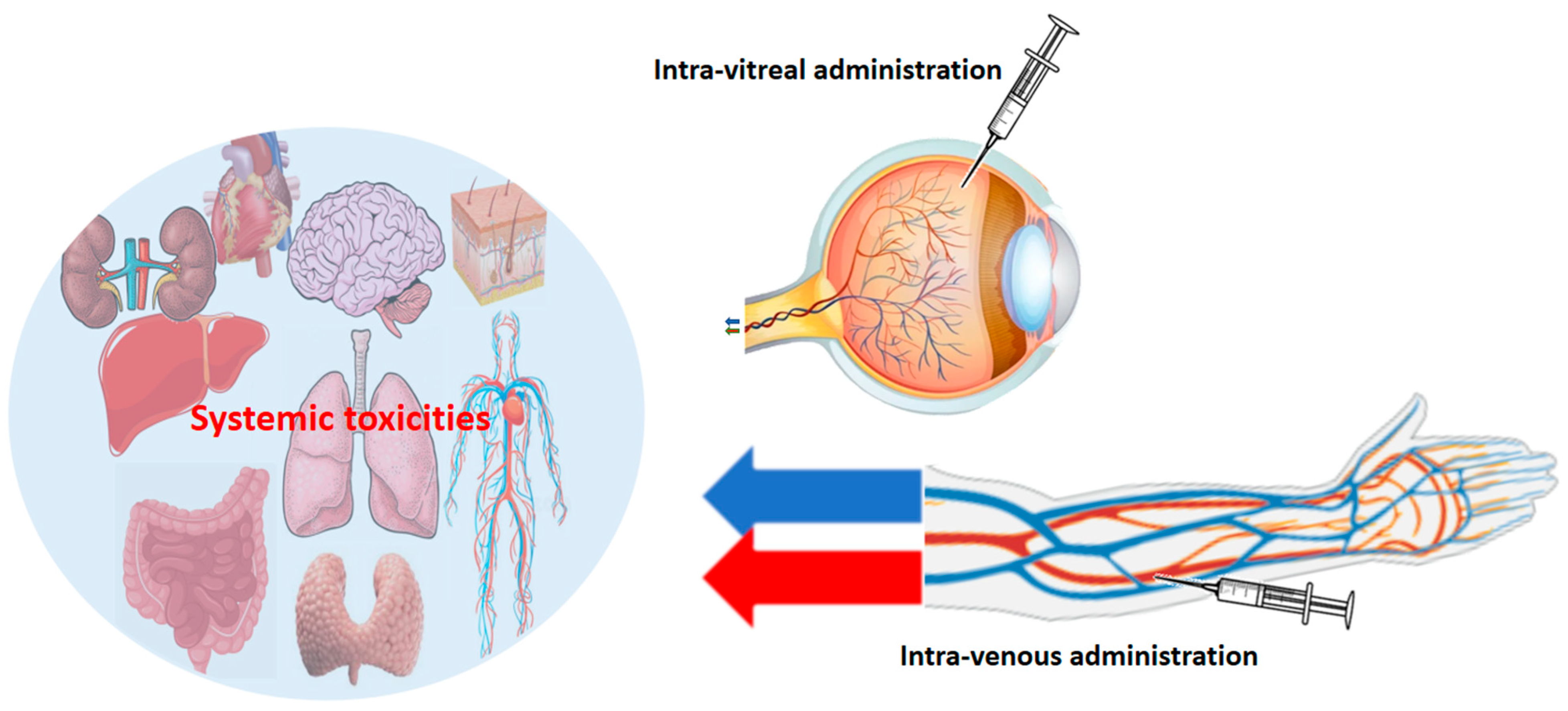Cancers 16 00350 g004